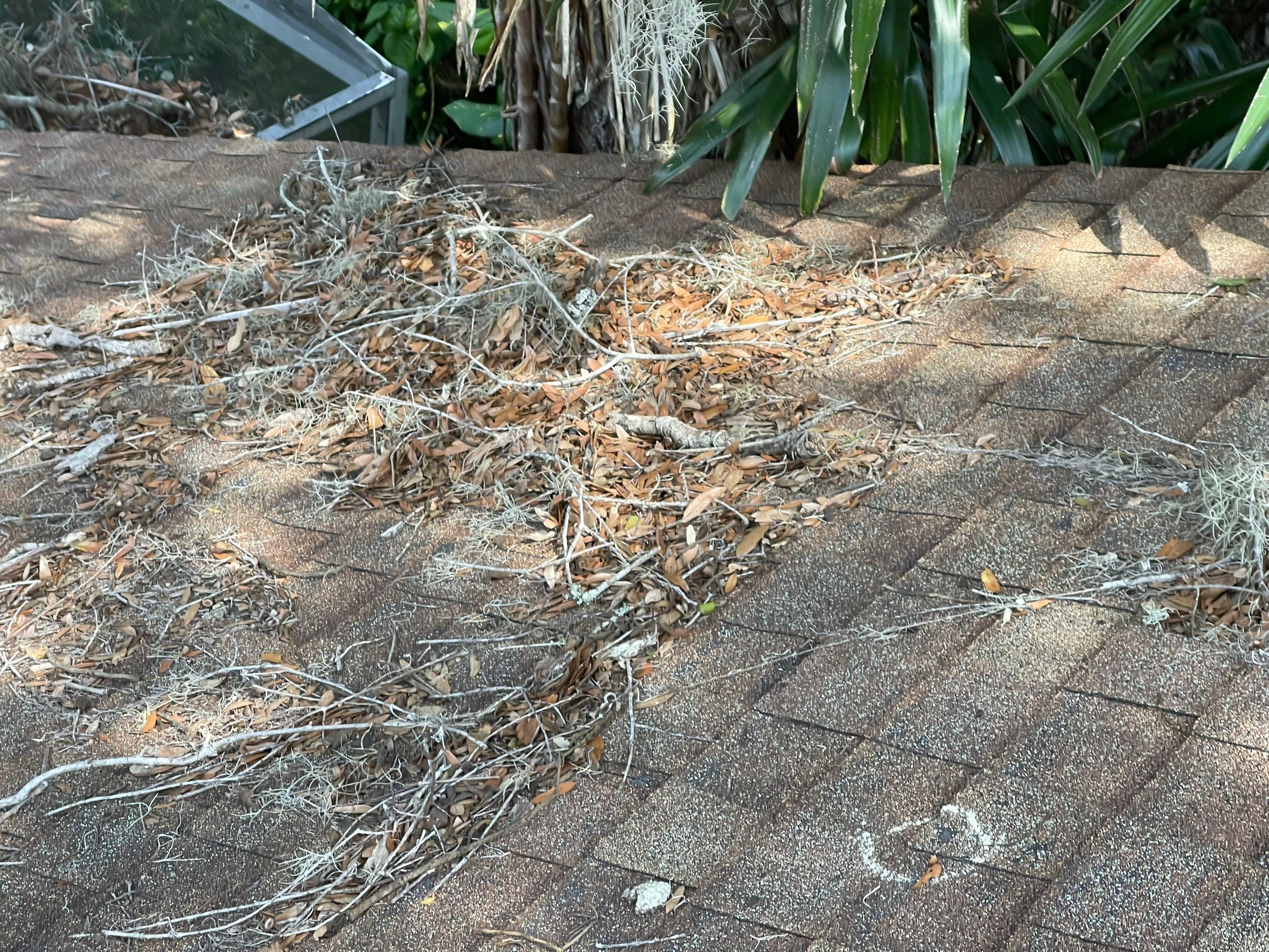Water Damage Claim in Ormond Beach by FLAPA & KeyStone