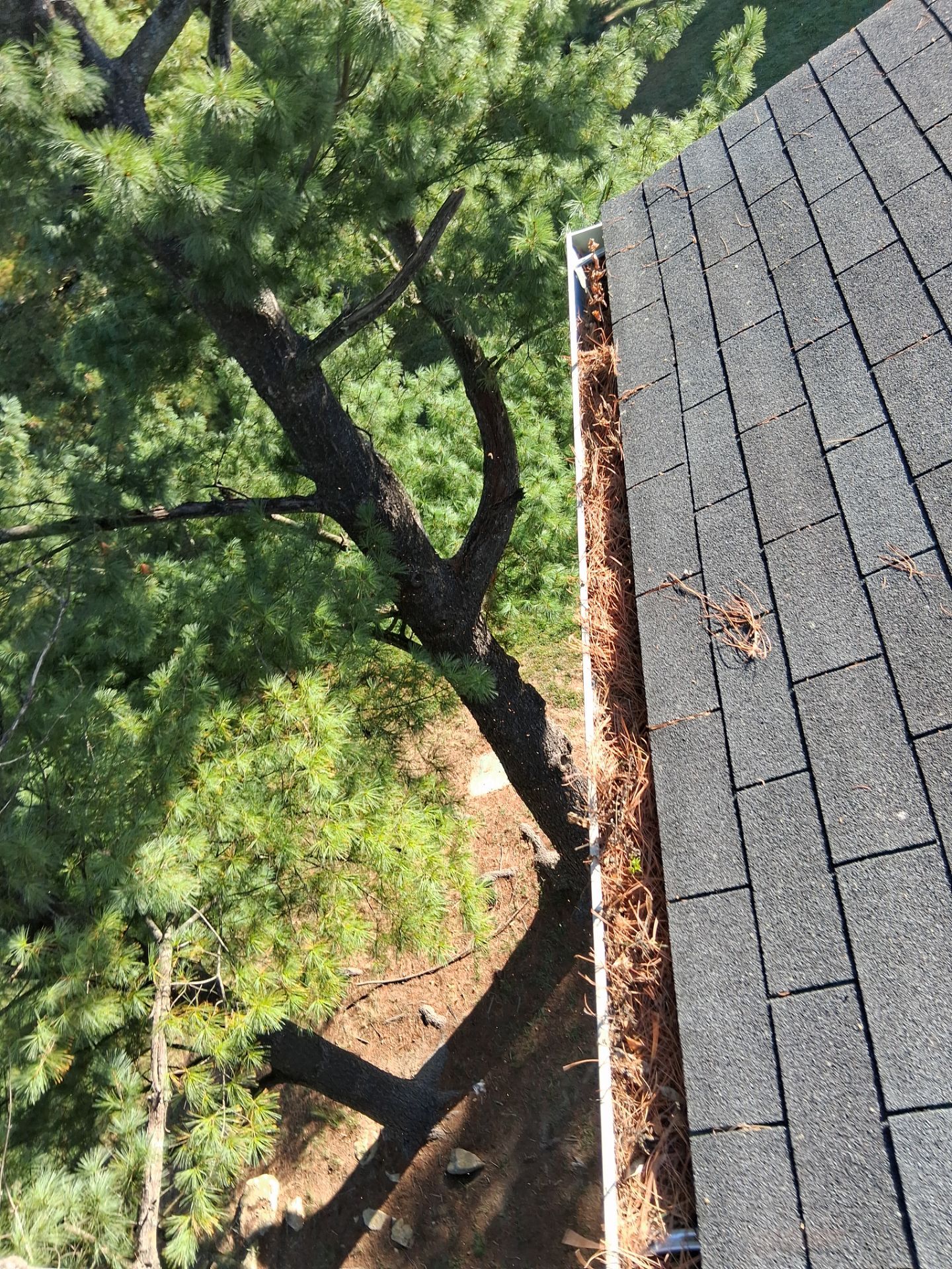 Commercial gutter cleaning Maryland before photo with filled gutters