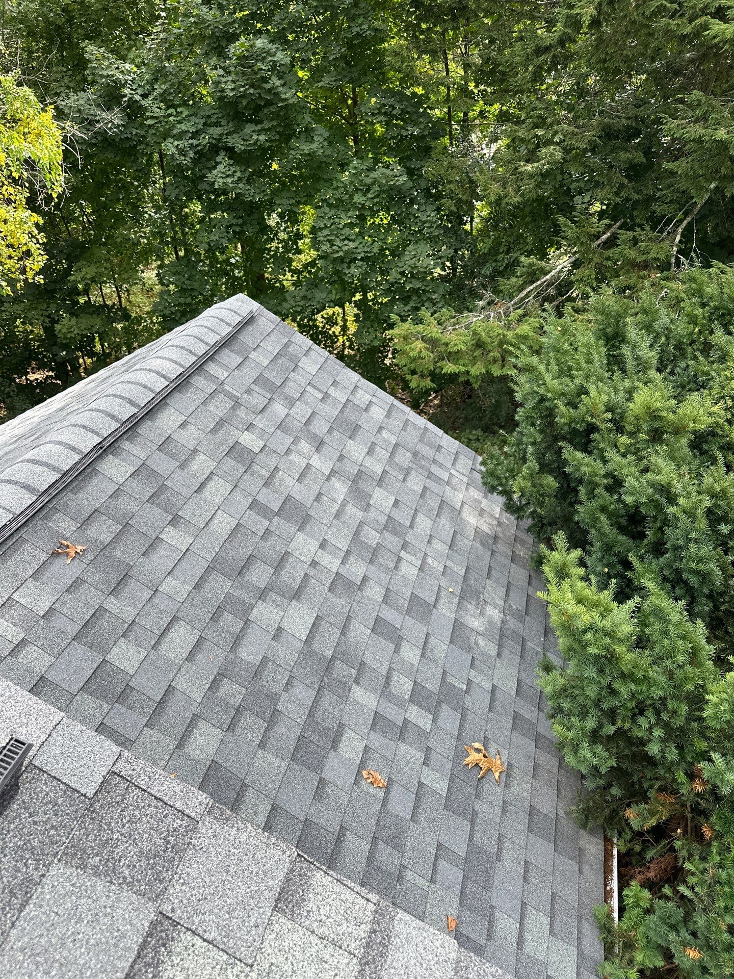 Roof Replacement + New Gutters & Guards — Chelmsford, MA by Mighty Dog Roofing of Greater Middlesex County