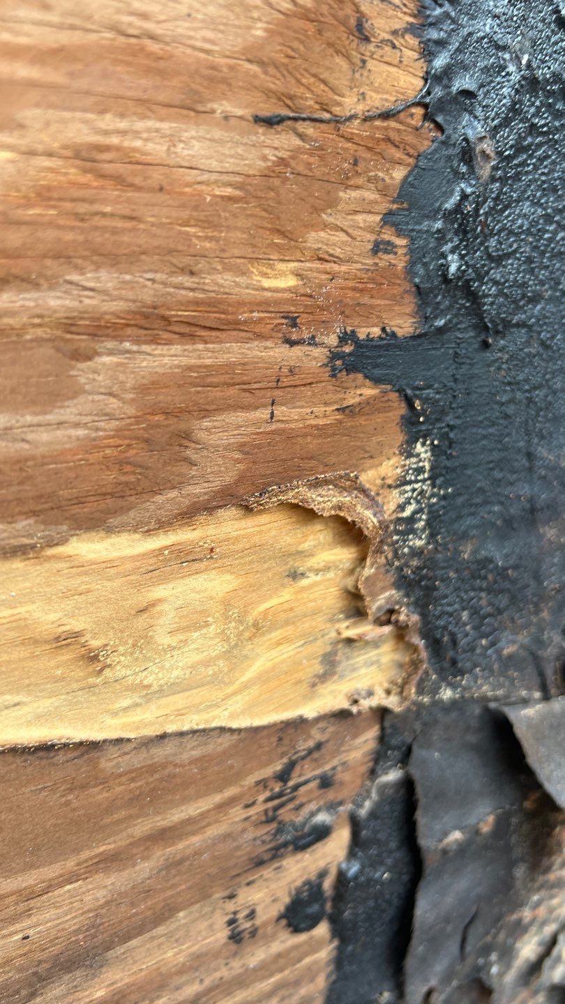 Natures Cove Rd., Dania Beach, FL by G&J Roofing 