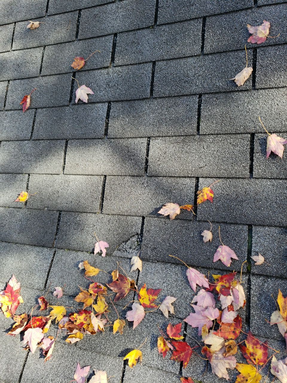 ATLAS PINNACLE SCOTCHGARD COLOR: PEWTER DRIP EDGE: BLACK by Eagle Eye Roofing