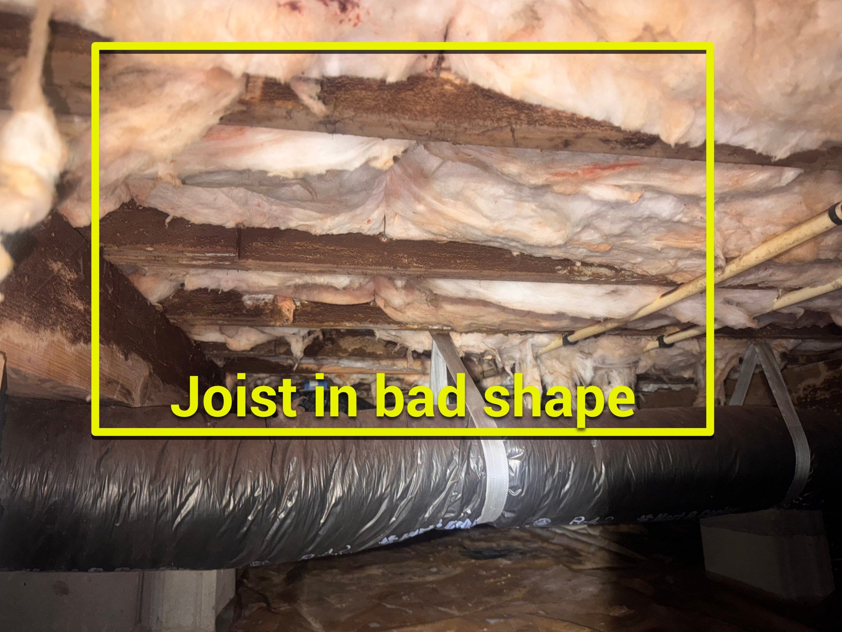 Moisture Barrier, Mold Clean, Structural Repair, Dehumidifier, R19 Insulation. by Impact Crawlspace