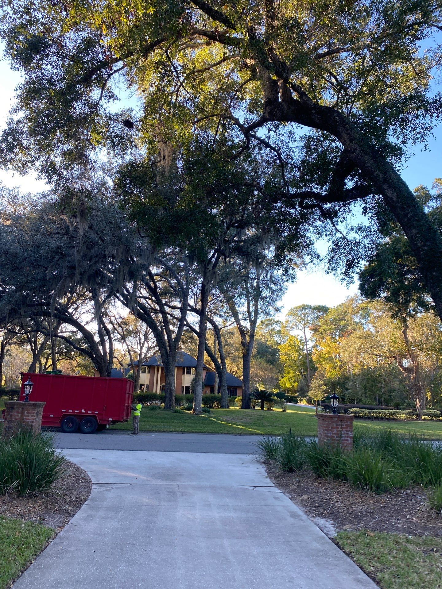 Deerwood Resident | Tree Removal & Trimming by ProGreen Services