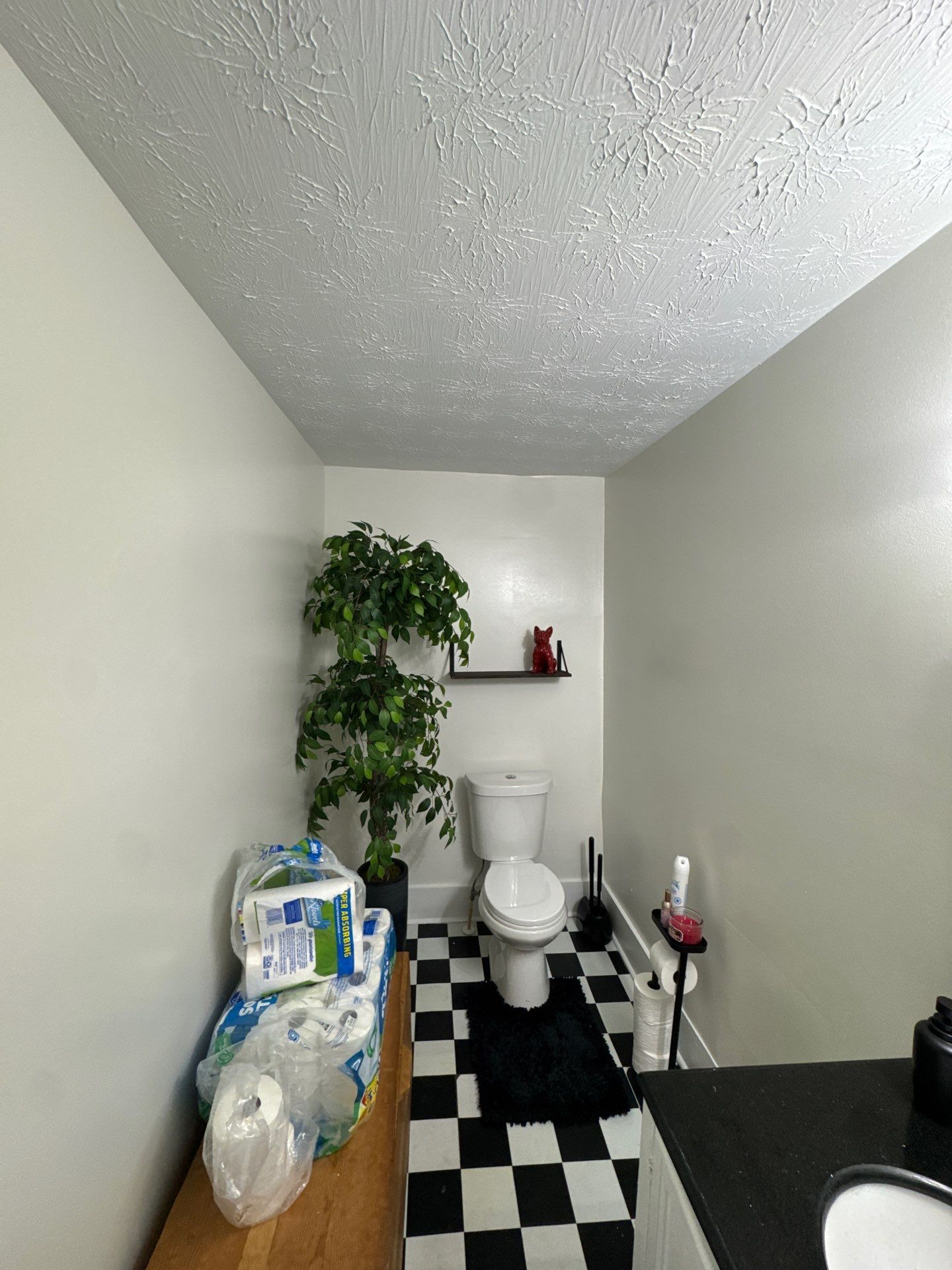 Commercial Pet Grooming Salon Interior Remodel in Powder Springs by Swift Home Renovations