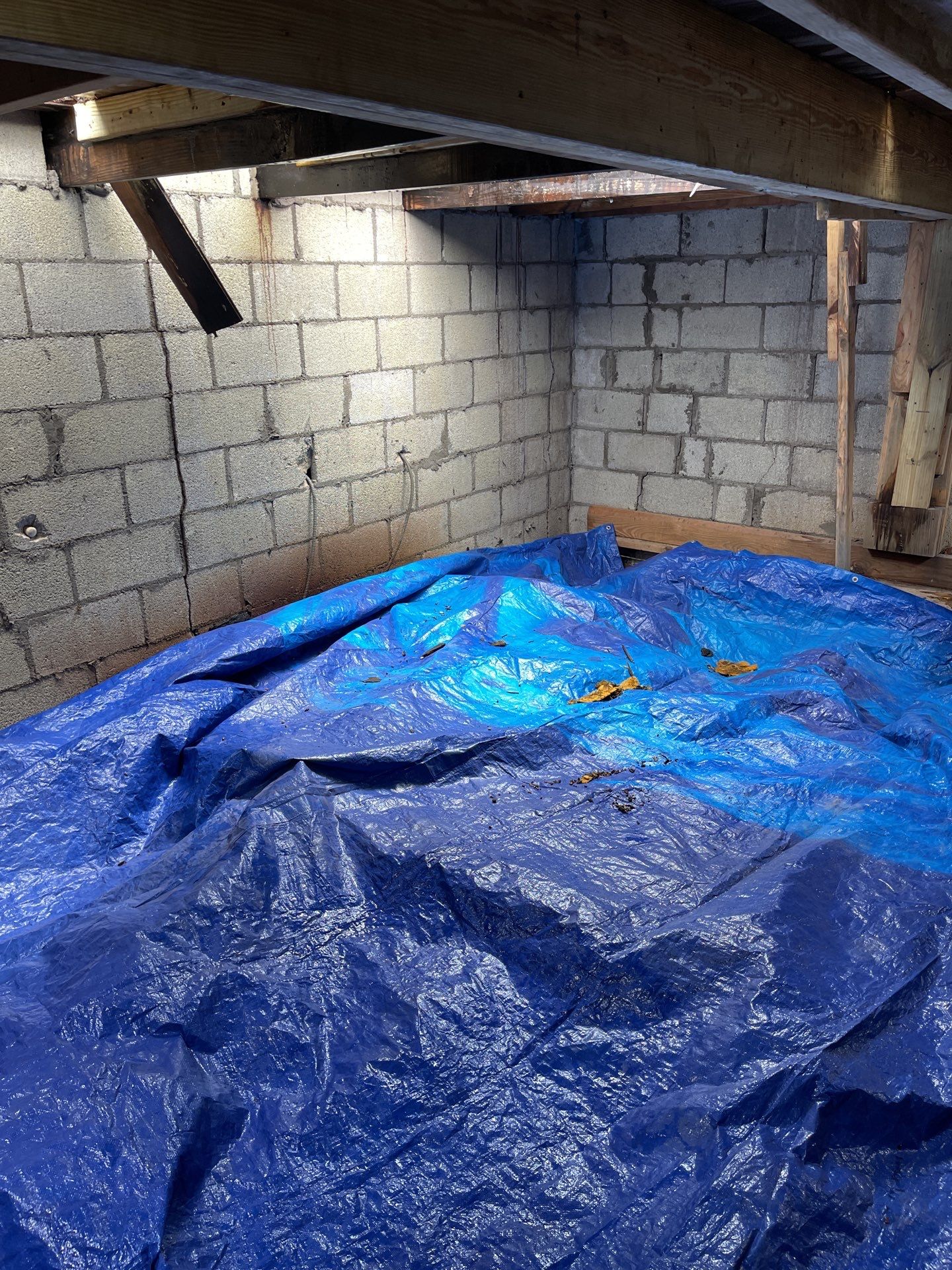 truses repair and new deking  by Xtreme interior company LLC