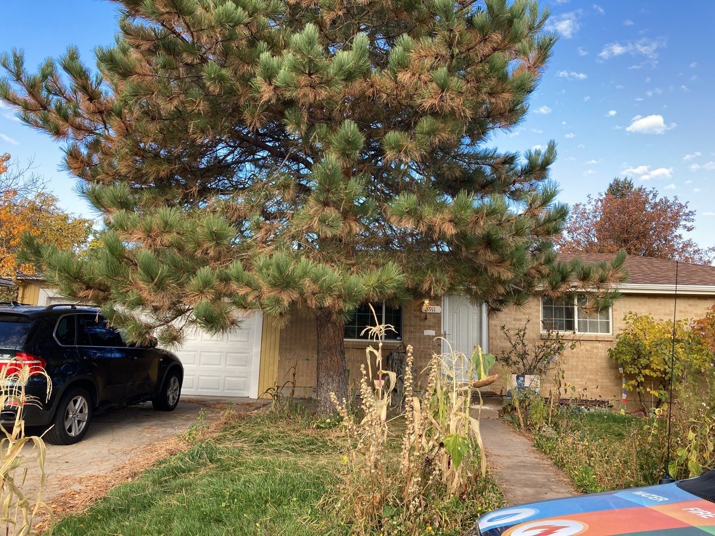 Water Damage Repair by Accountable Home Services