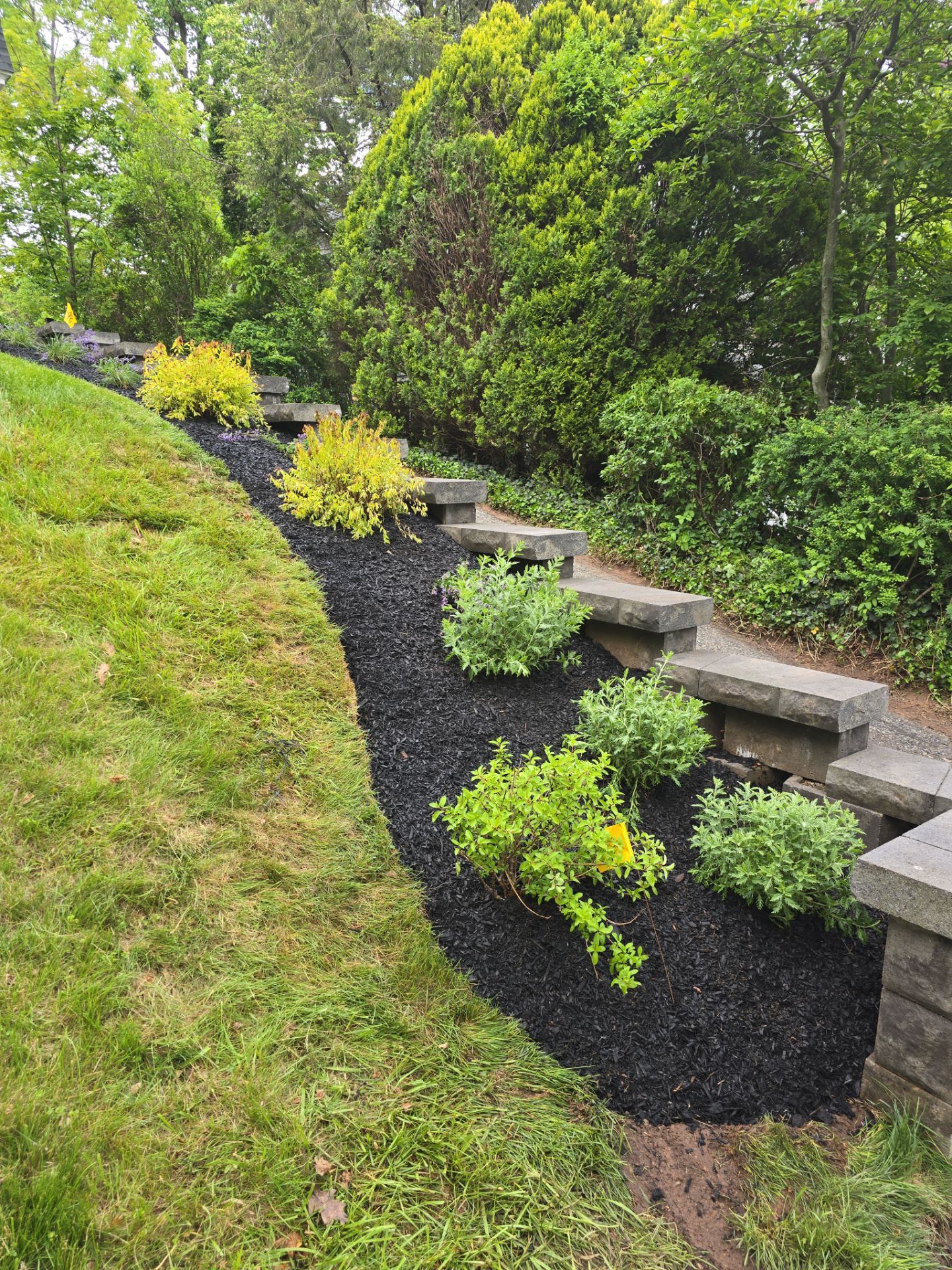  Landscape Planting  by K Macken Landscaping LLC