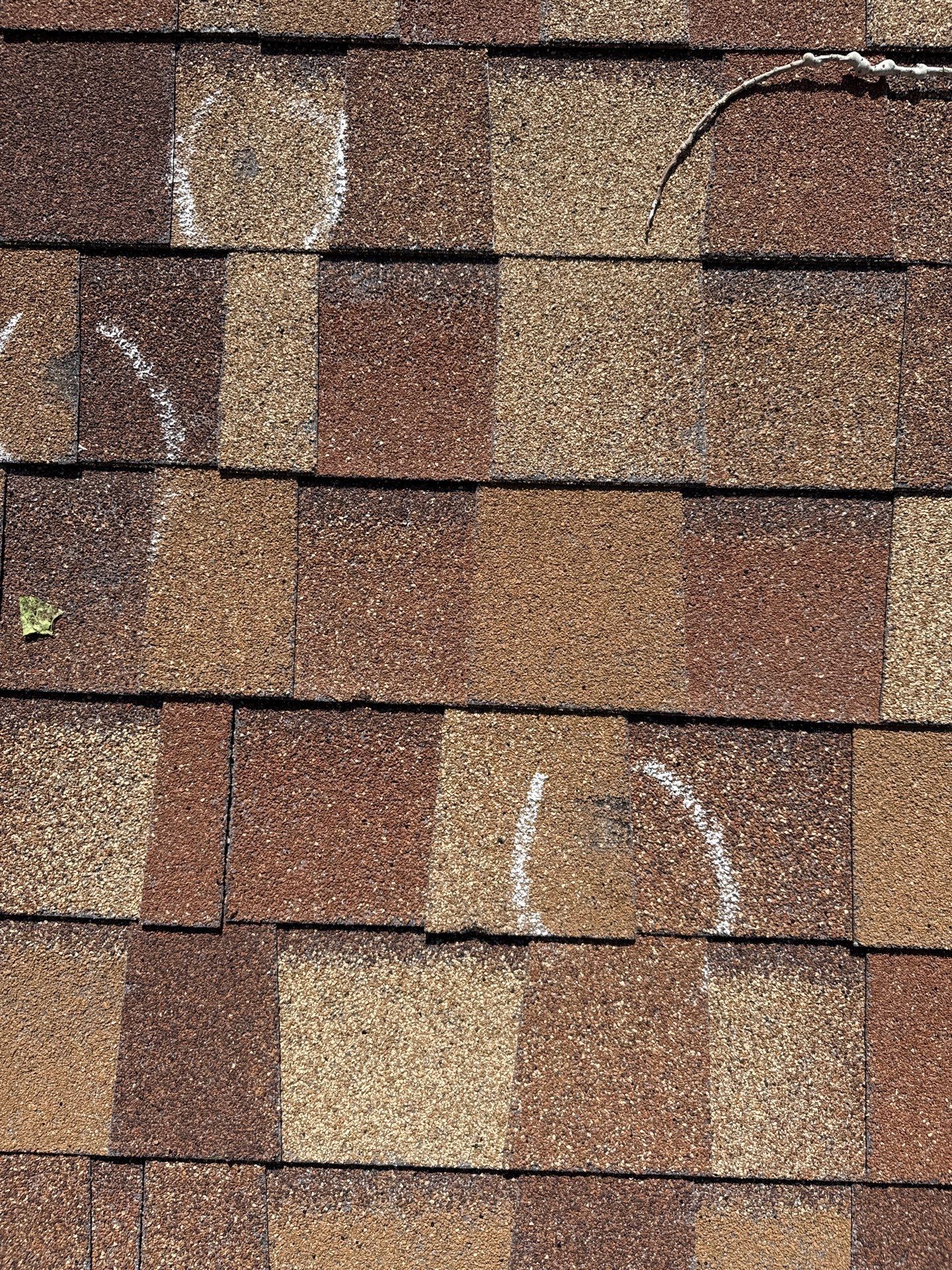 Michael Reed Roof & Siding Renovation by Colorado Exteriors LLC