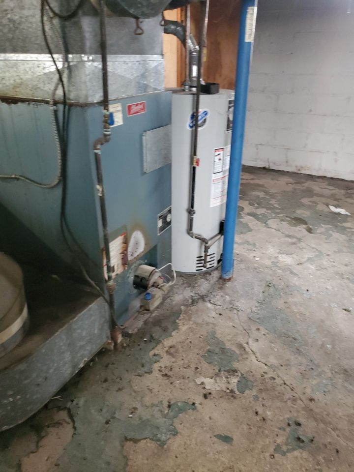 Tree Removal using Tree Removal by Mike Jones & Sons Tree Service LLC 