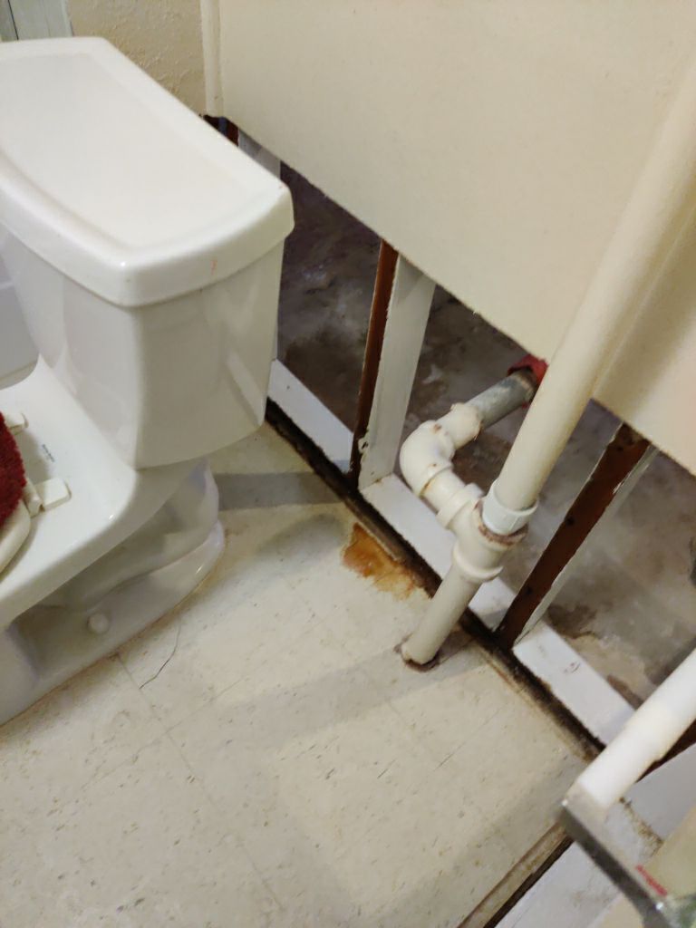 Mold Remediation in Basement by Accountable Home Services