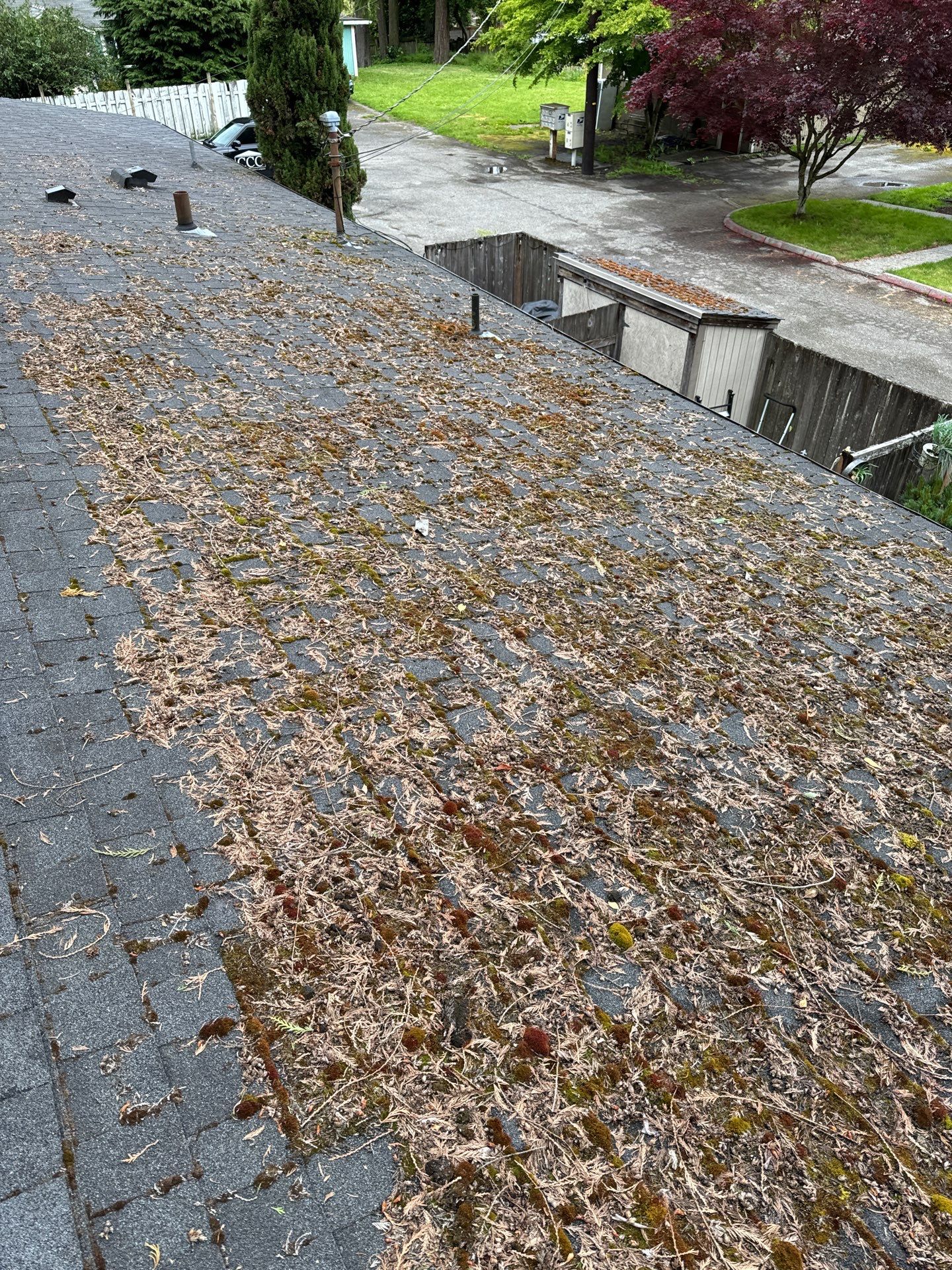 Project in Everett by Peaks and Valleys Construction
