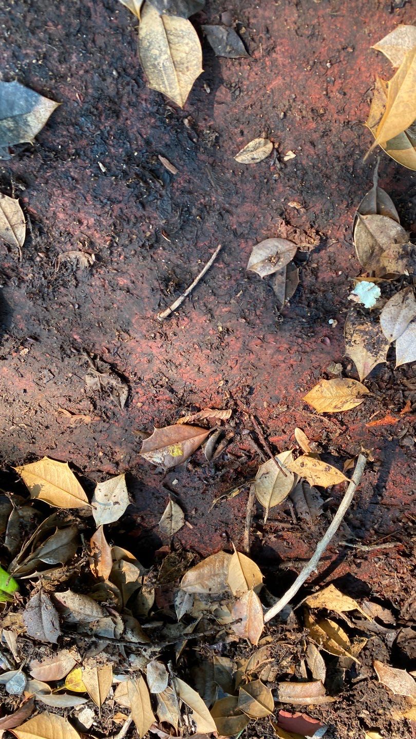 Alexandra: Residential Metal Roofing  by RM Banning, Inc.