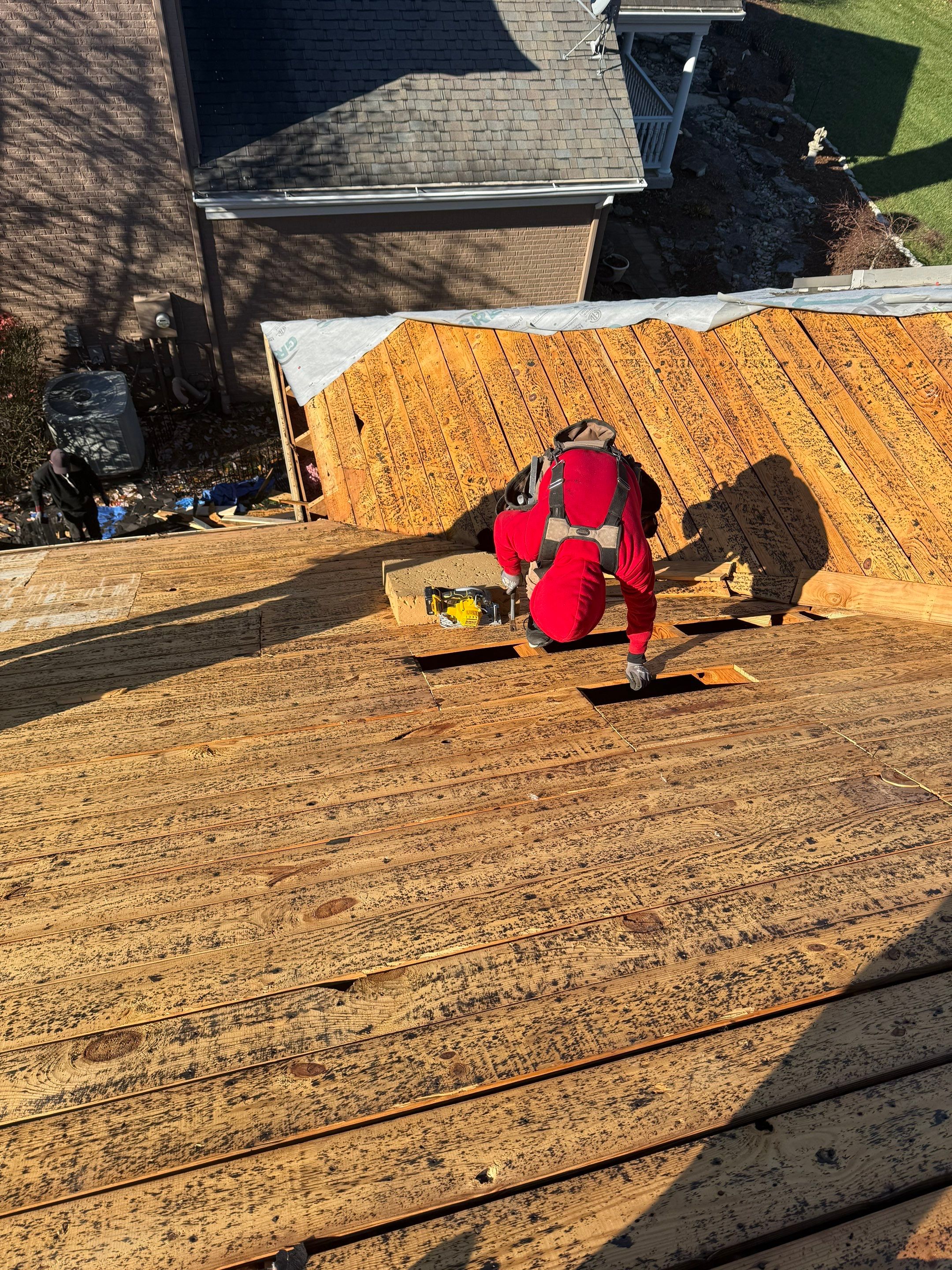 Project in Louisville, KY by GreenForce Restoration