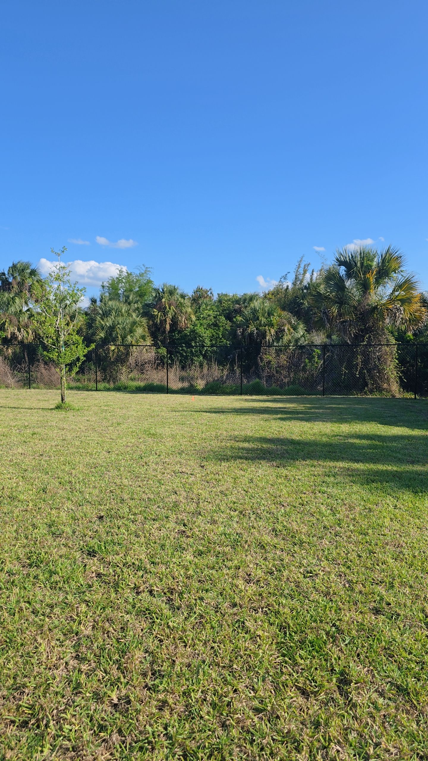 Chain Link Fence in Lehigh Acres by True Fence LLC
