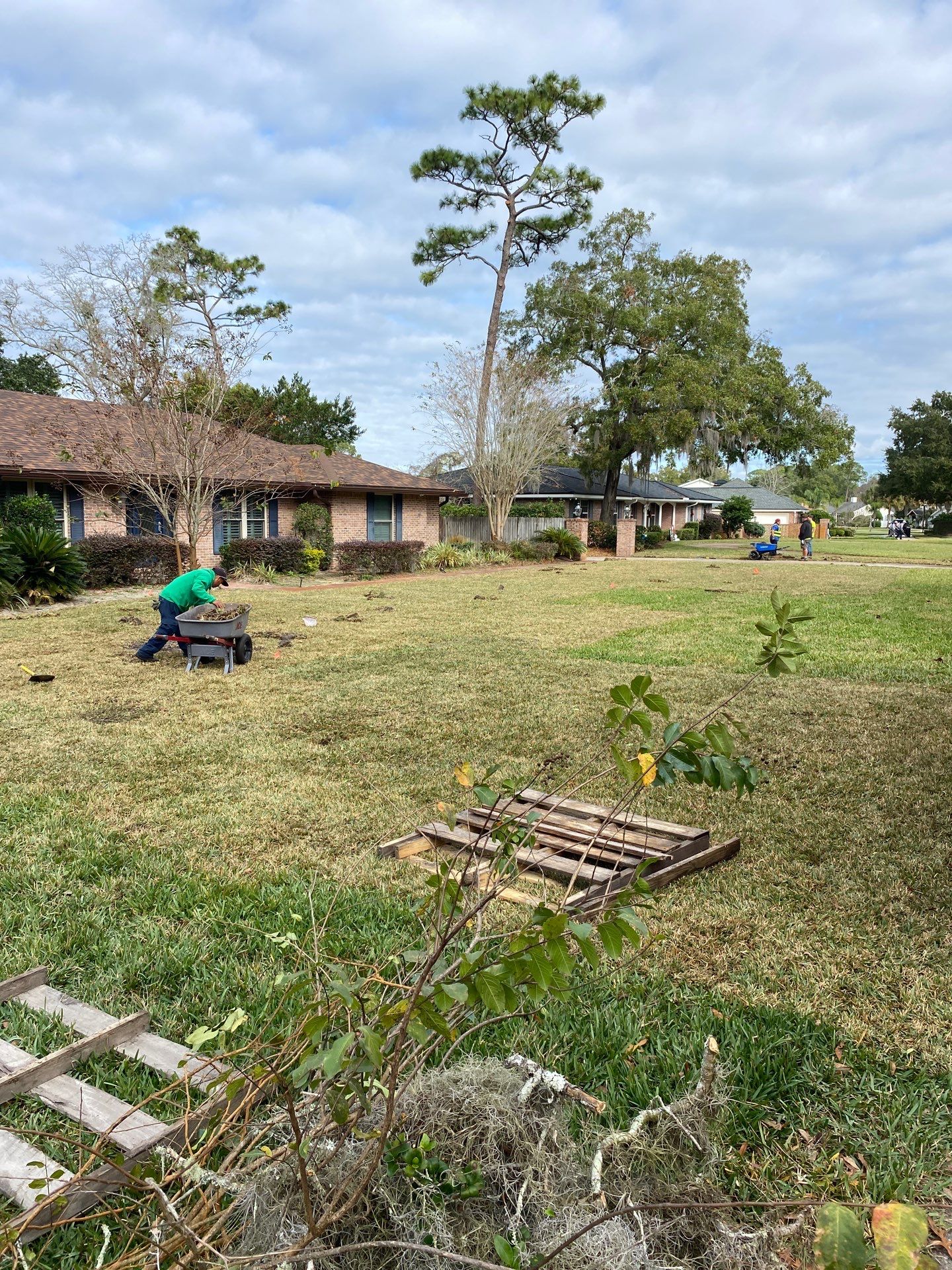 Deerwood Resident | Sod Replacement by ProGreen Services