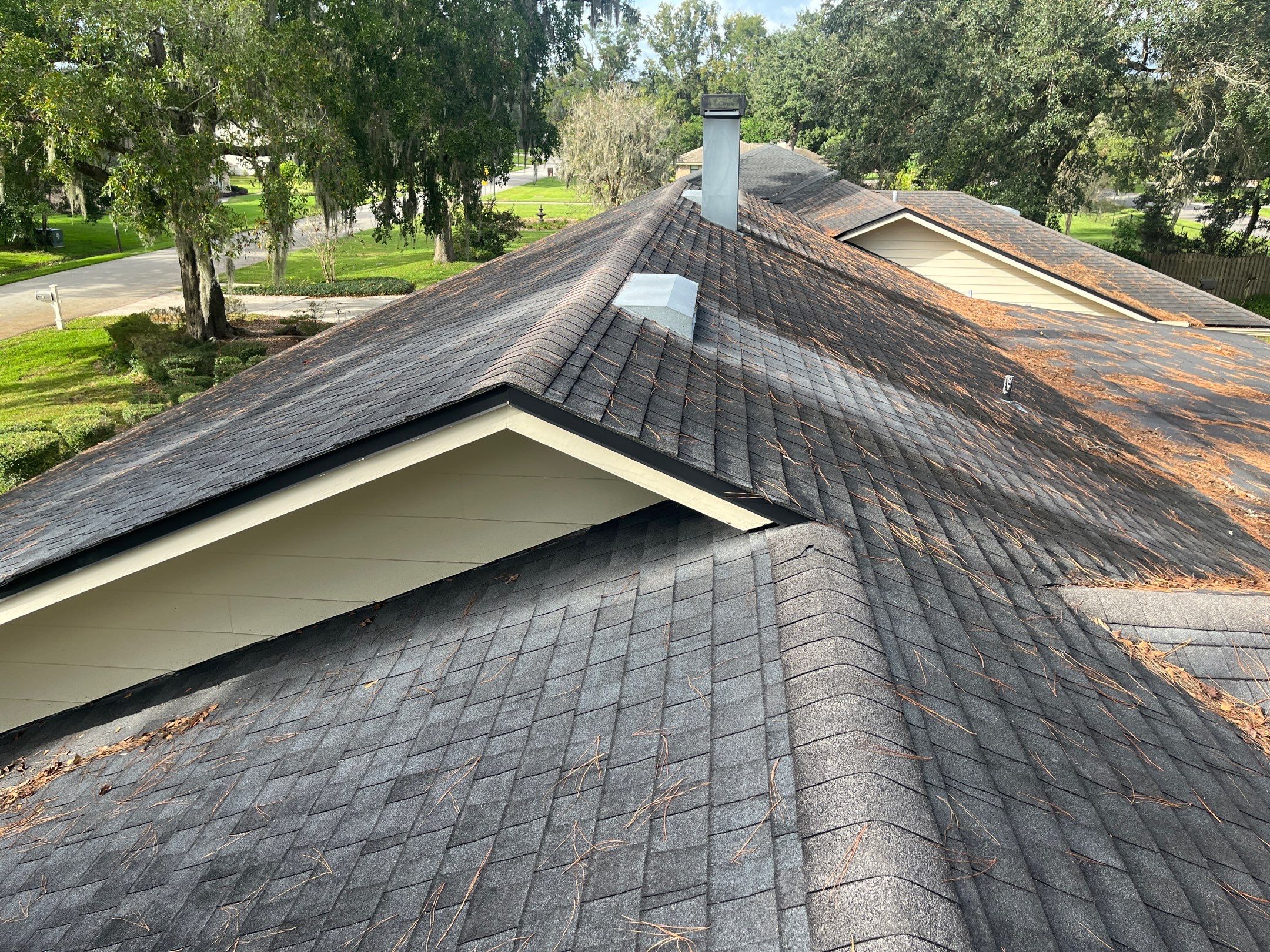 Shingle -> Shingle by Prime Roofing
