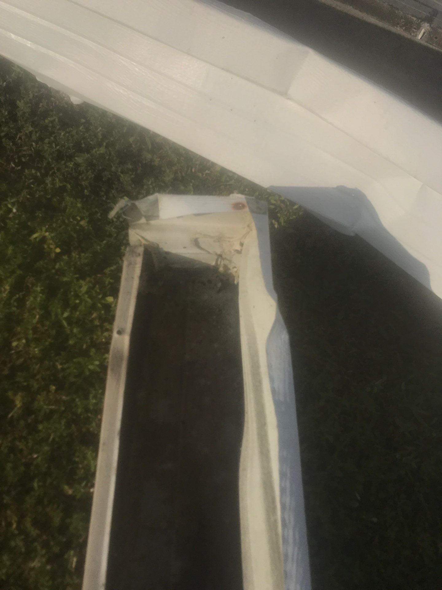 Cleaning Gutters in Fort Myers FL by Gutter Professors