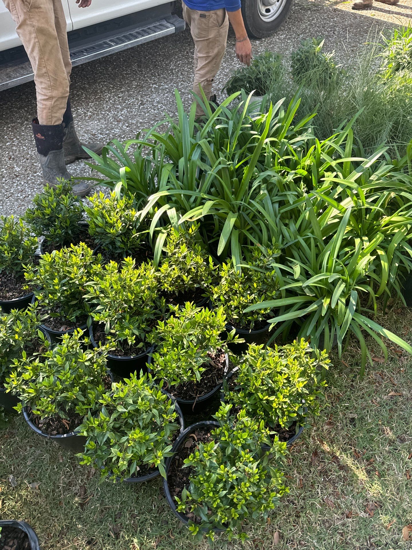 Comprehensive Landscape Design and Custom Hardscape Installation in Bluffton by Lowcountry Scapes, LLC