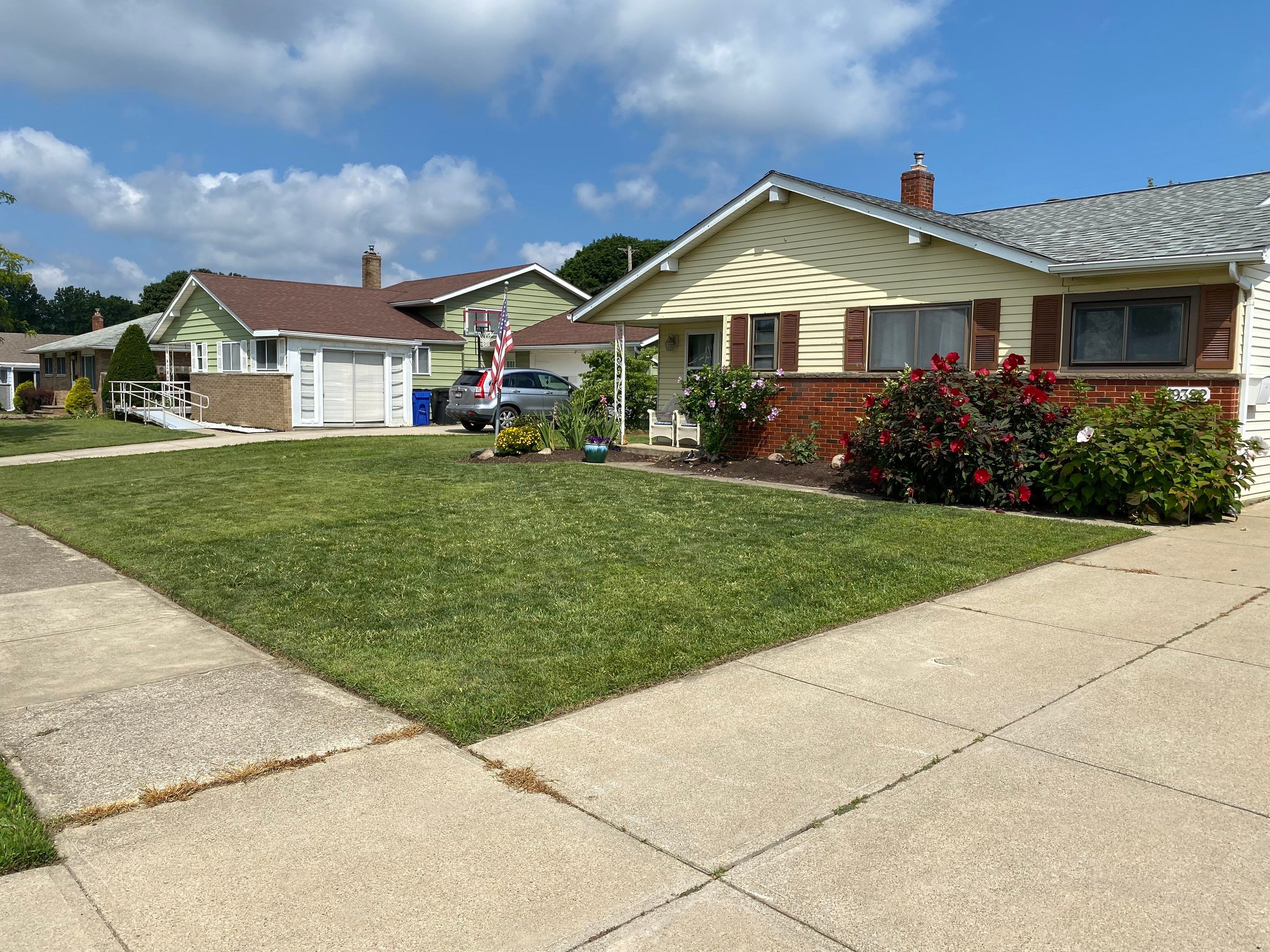 American Lawn Repair by Elm Rose Gardens