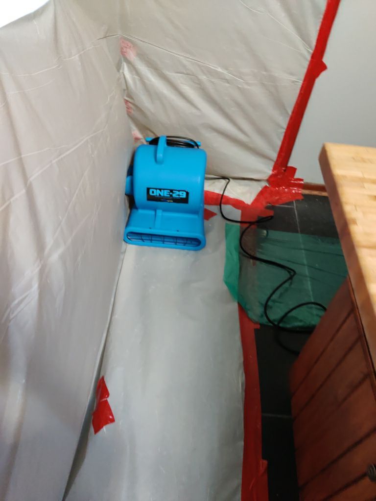 Mold Remediation using Containment by Accountable Home Services