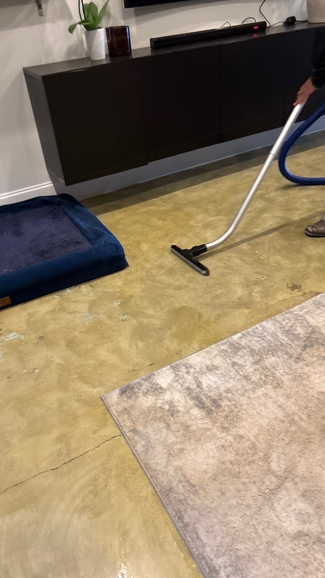 Wellington Water Damage Restoration with Thermal Imaging and Extraction by SuperClean 