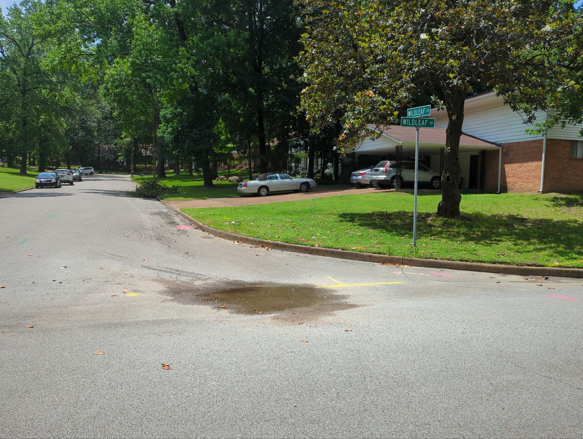Utility R.O.W Locate for Survey and Design project by Alsip Locating Service, LLC