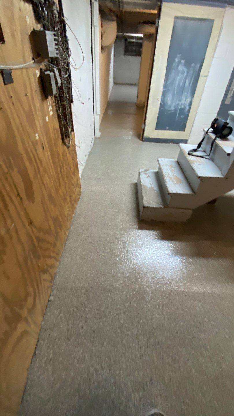 Cat Hospital Project in Pittsburgh by Floors in a Day, Inc