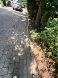 Window Cleaning in Ridgewood, NJ — Gallo Bros job photo
