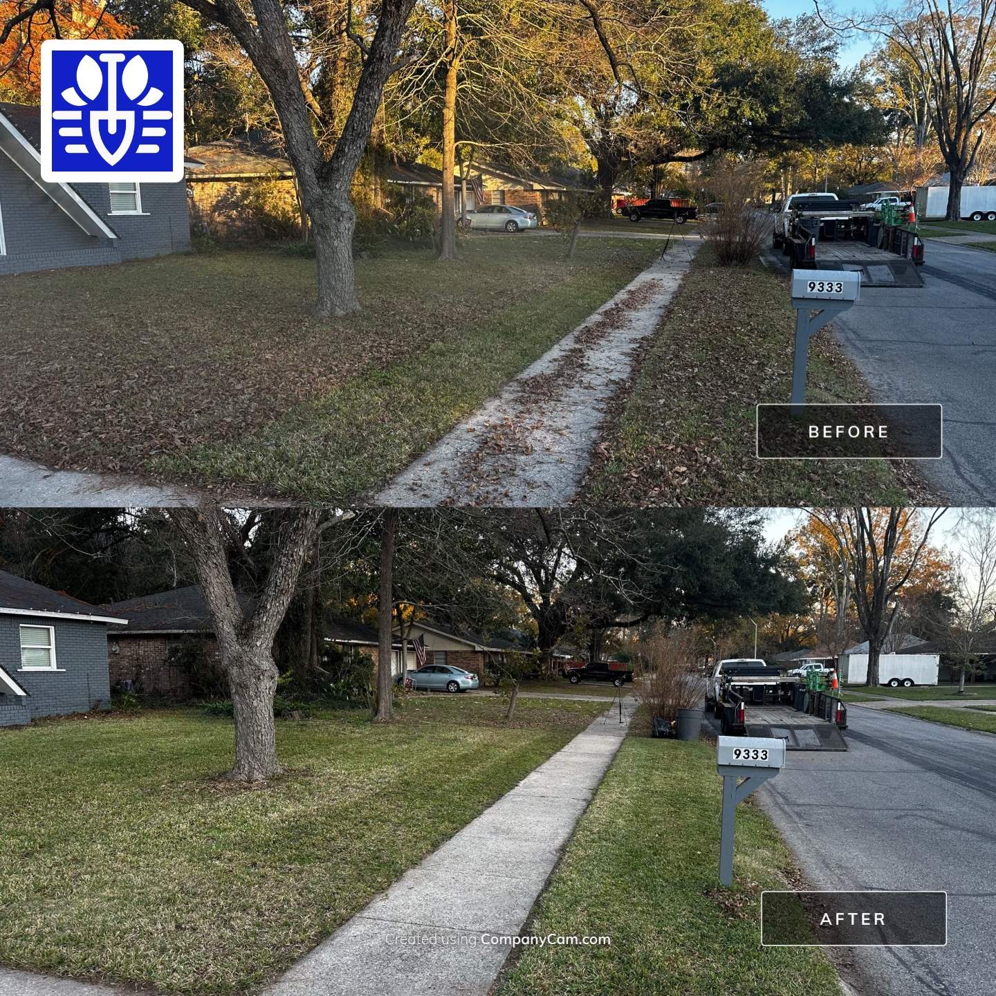 WINTER SERVICES: FULL LEAF JOB by CutScape, LLC.