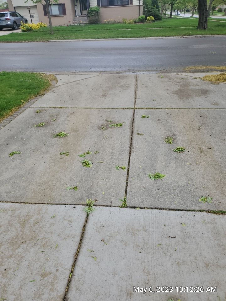 Mount Prospect, IL Driveway cleaning by Northern Power Washing LLC.