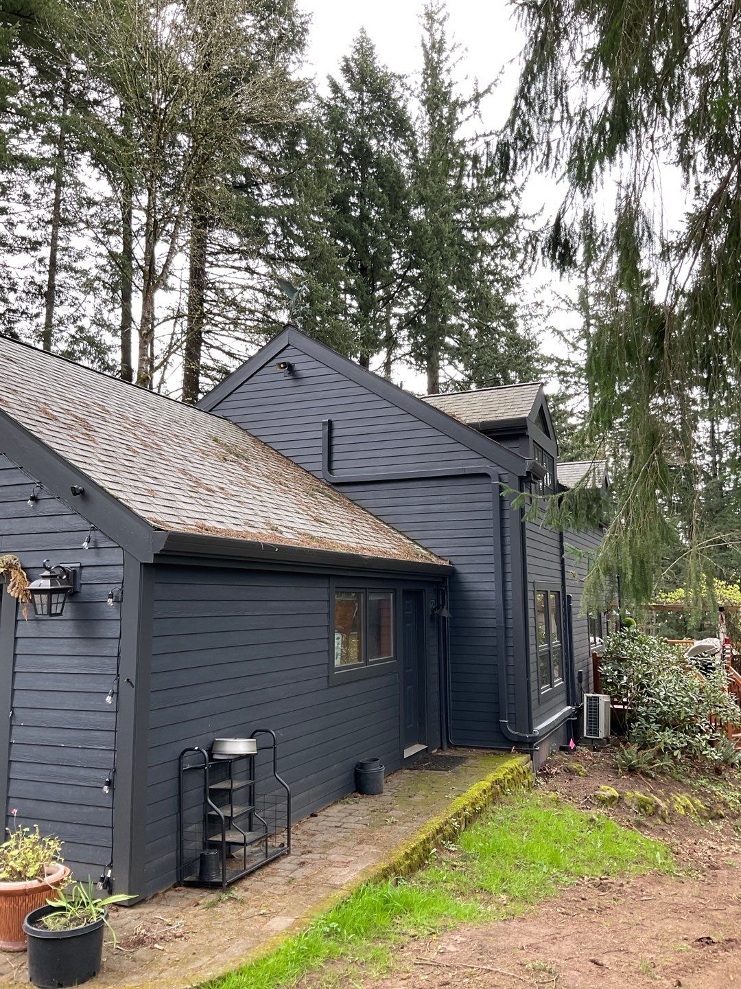 Roof Treatment using Surfactant and Biocide by Willamette Outdoor Wash LLC