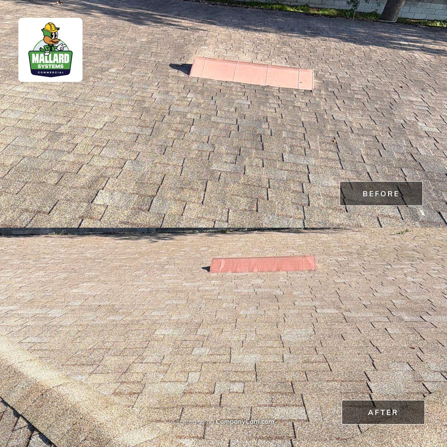 Shingle Roof Cleaning at Kissimmee Commercial Center by Mallard Systems