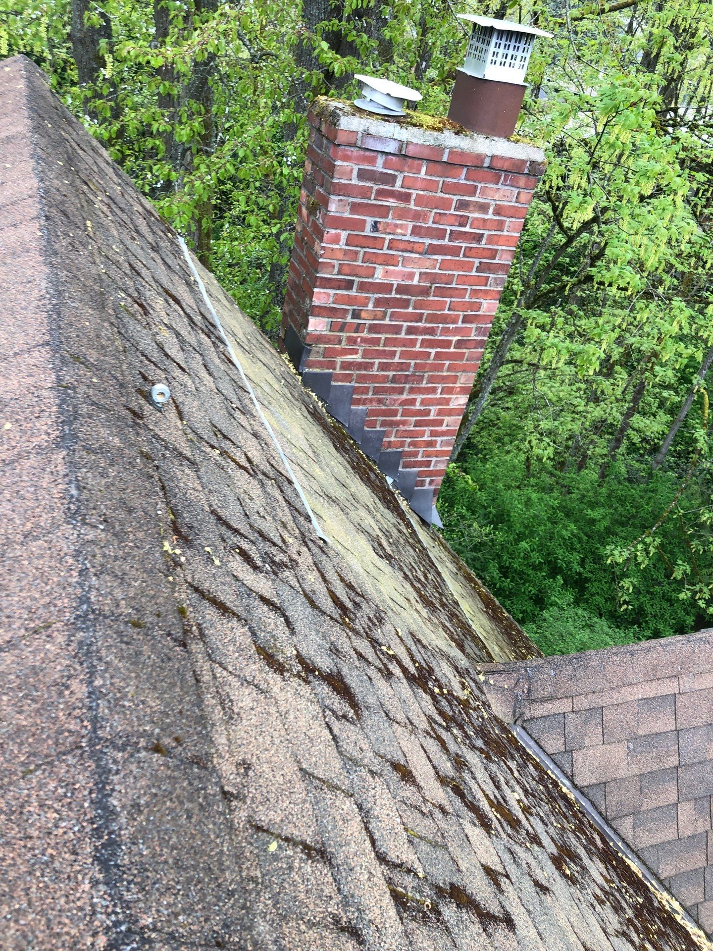 Project in Seattle by Connolly Construction Company