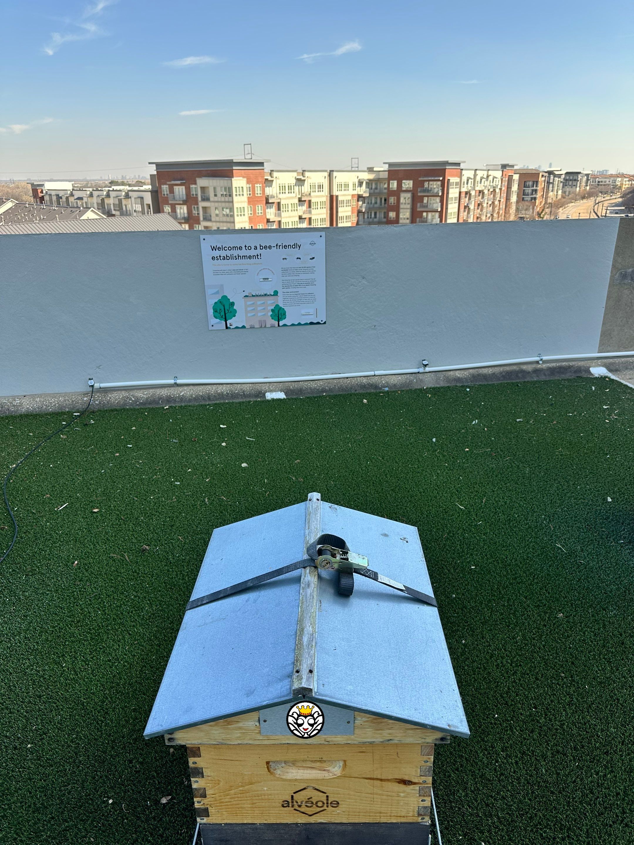 Rooftop Bees in Irving by Rockwall Honey Bee Company