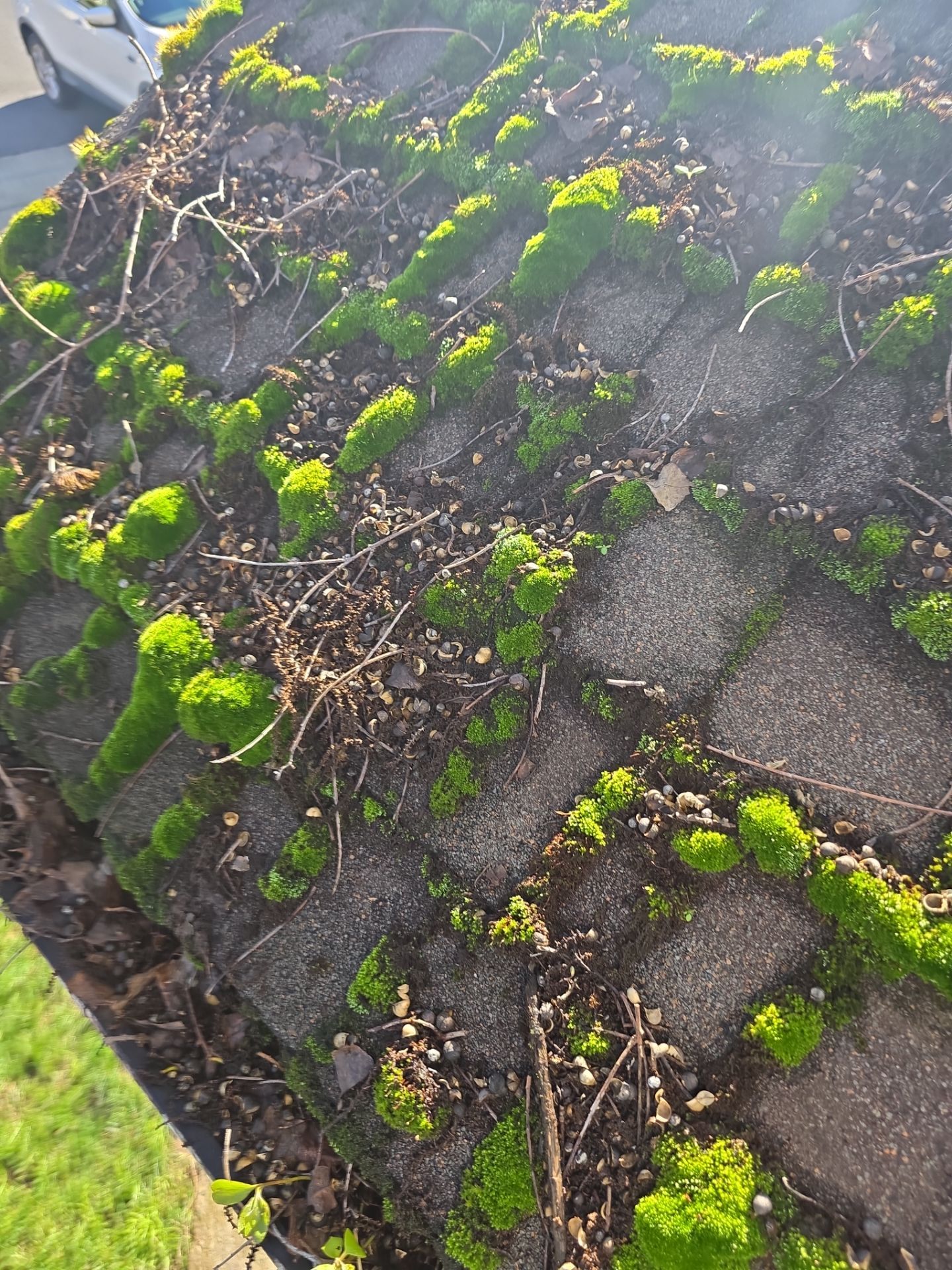 Roof Rejuvenation using Roof Maxx Treatment by Roof Maxx of Folsom