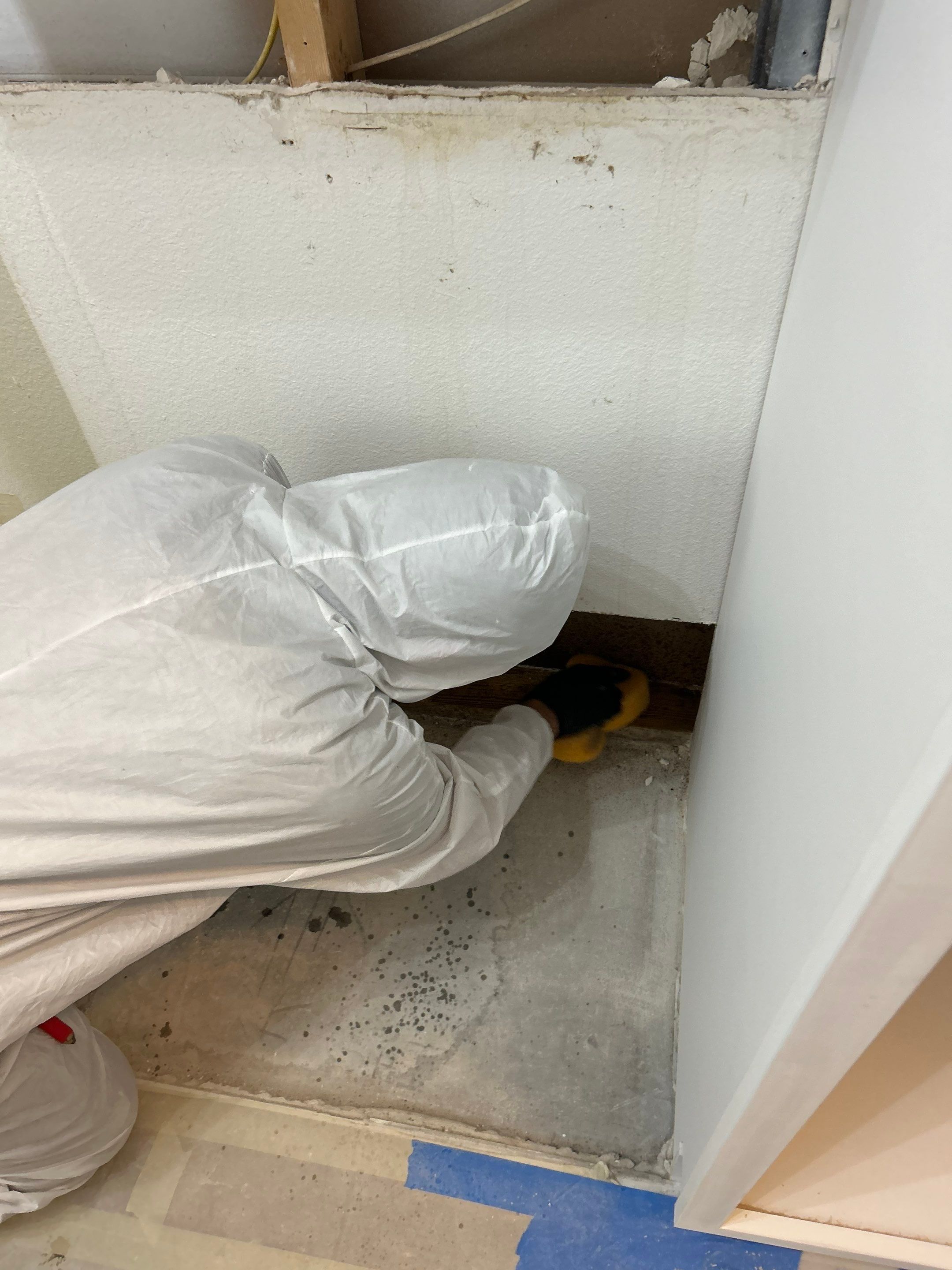 Project in Valrico by You Restorations LLC DBA YOU-Home