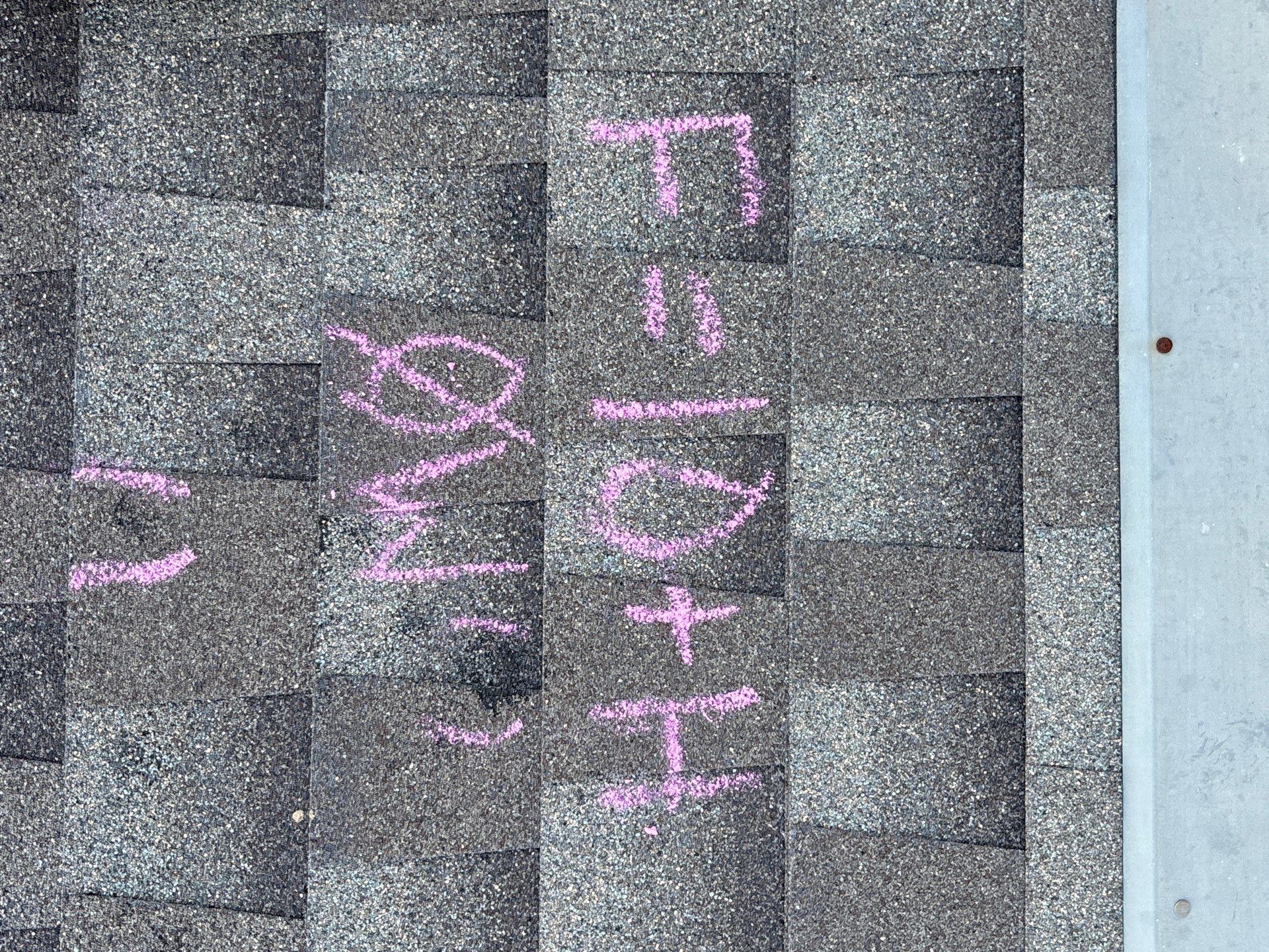 DAN L by Boss Hogg Roofing