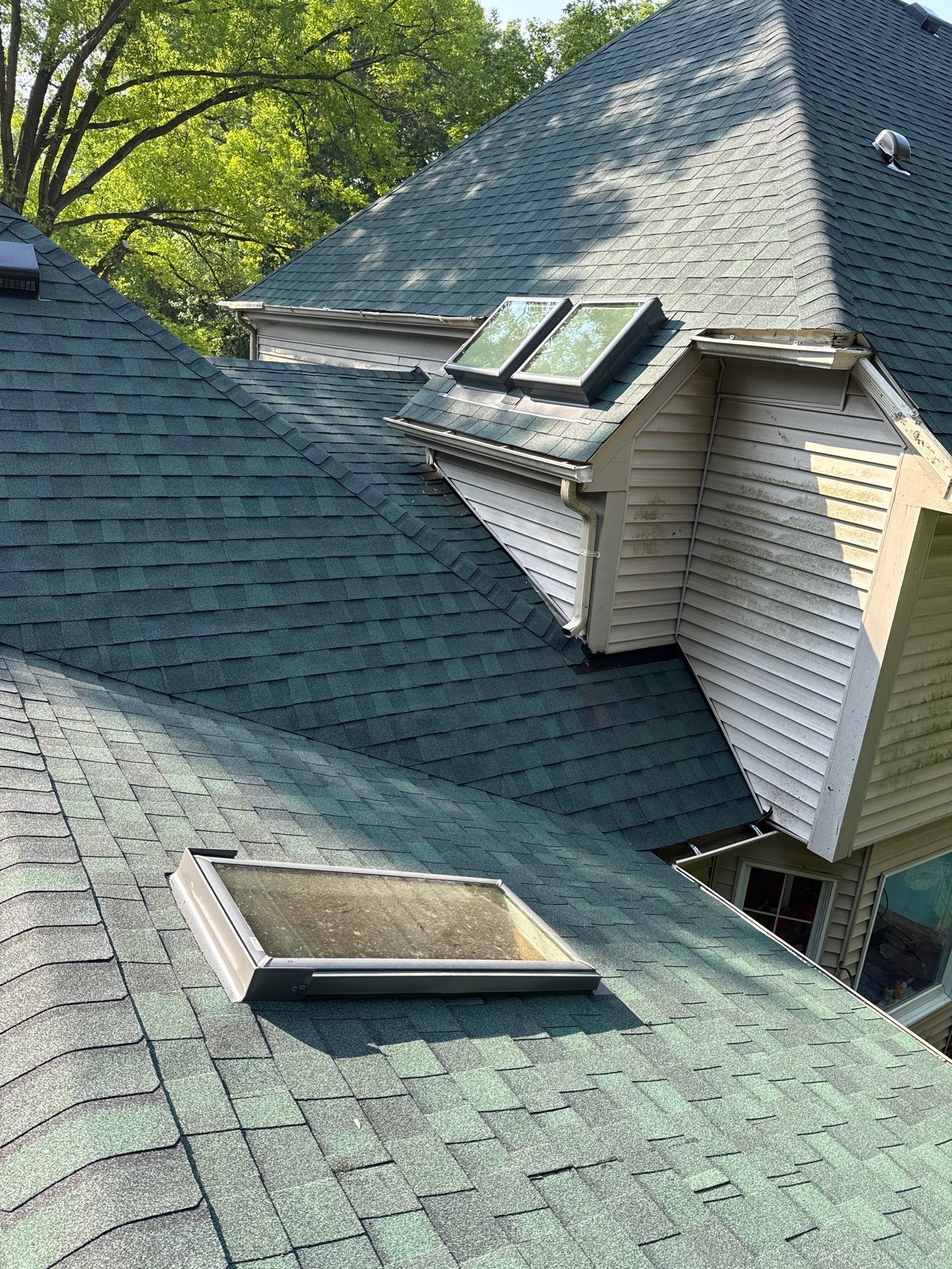 Springfield: Roof Replacement with CertainTeed Landmark Pro in Max Def Evergreen by RM Banning, Inc.