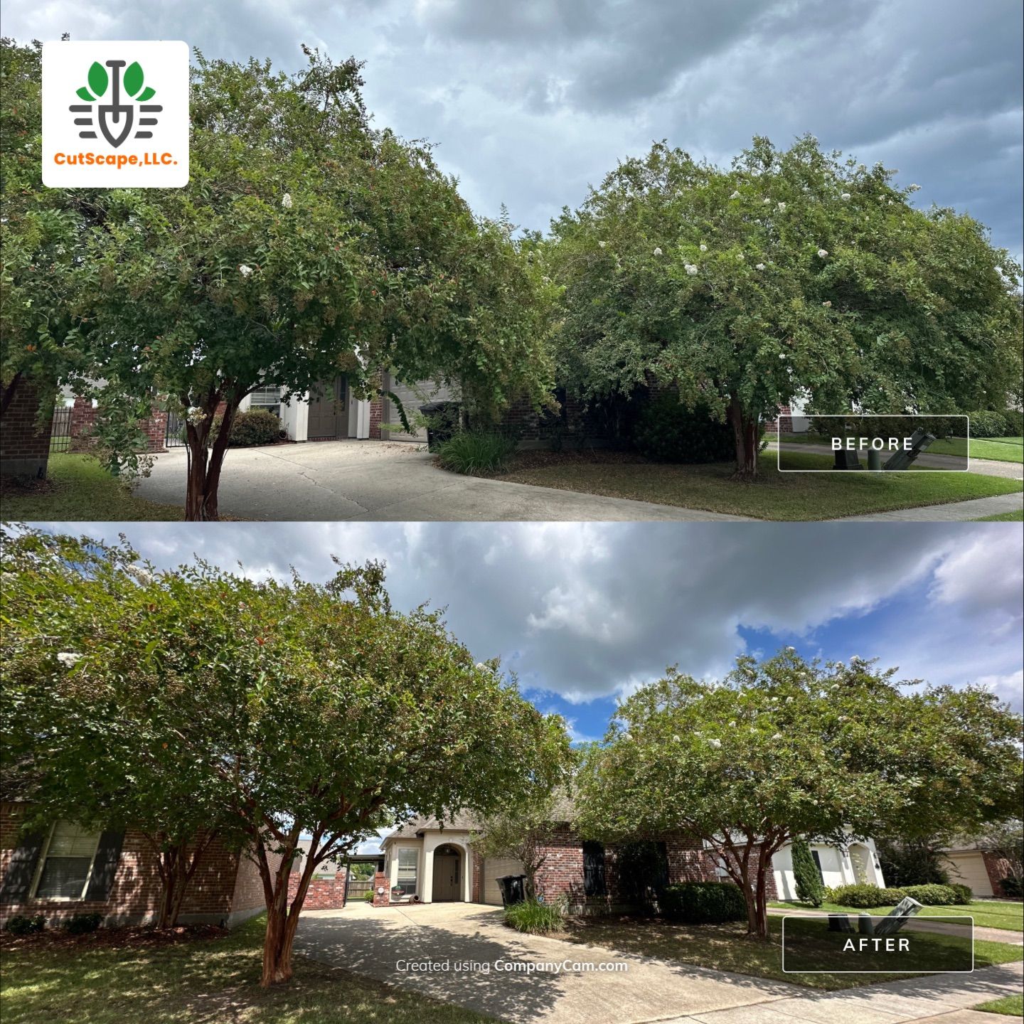 DEMO / PREP / INSTALL / TRIM / MULCH INSTALL by CutScape, LLC.