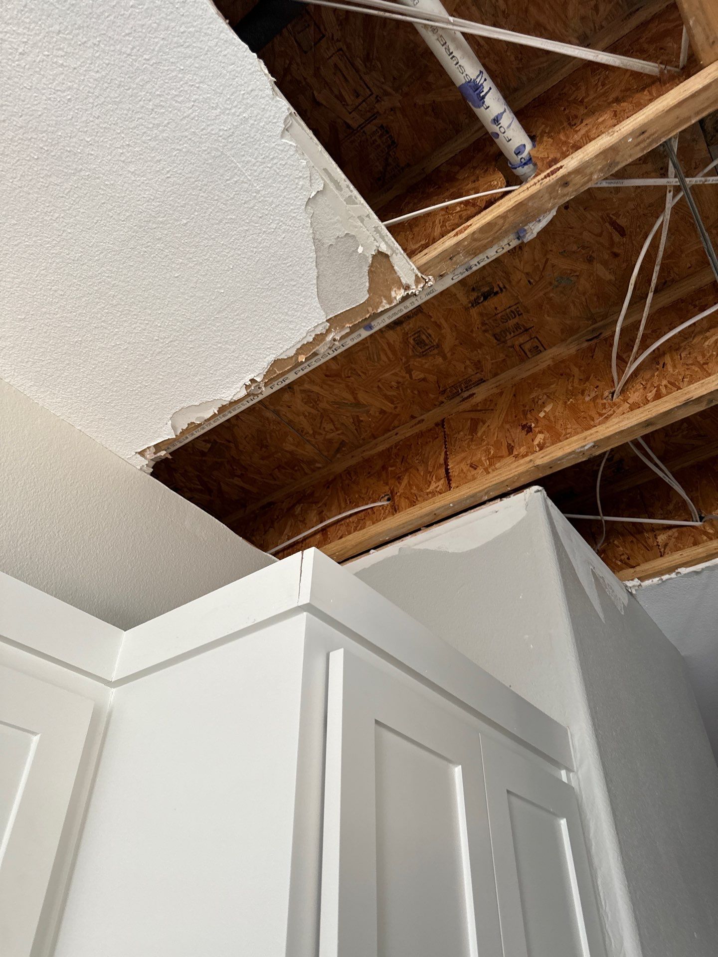 Carlson by Baker's Integrity Restoration and Construction