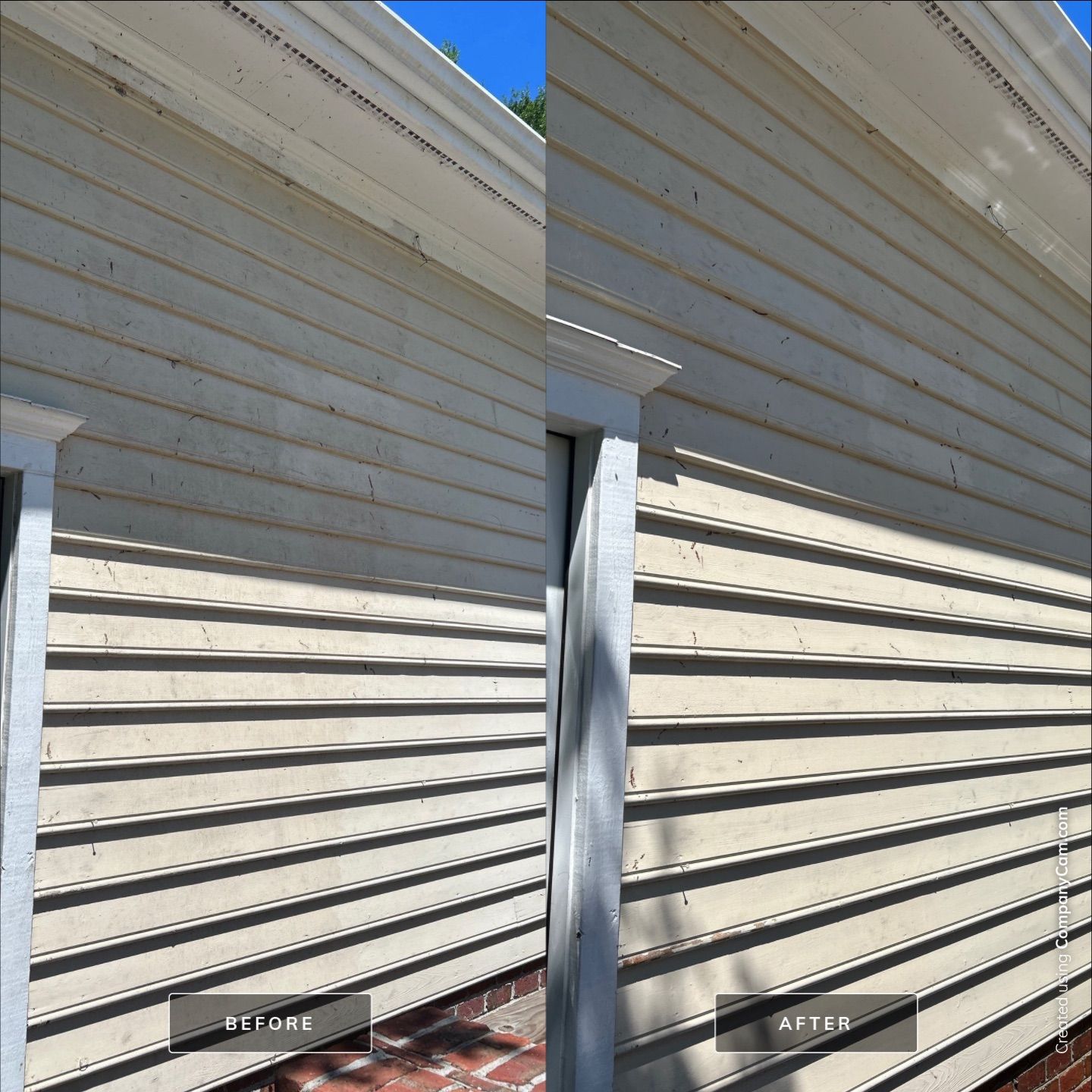 House Washing in Wilmington by Shark Power Washing