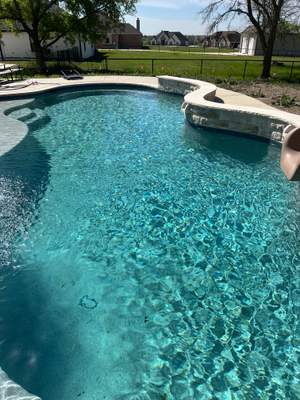 Freeform Pool with Raised Spa and Tanning Ledge