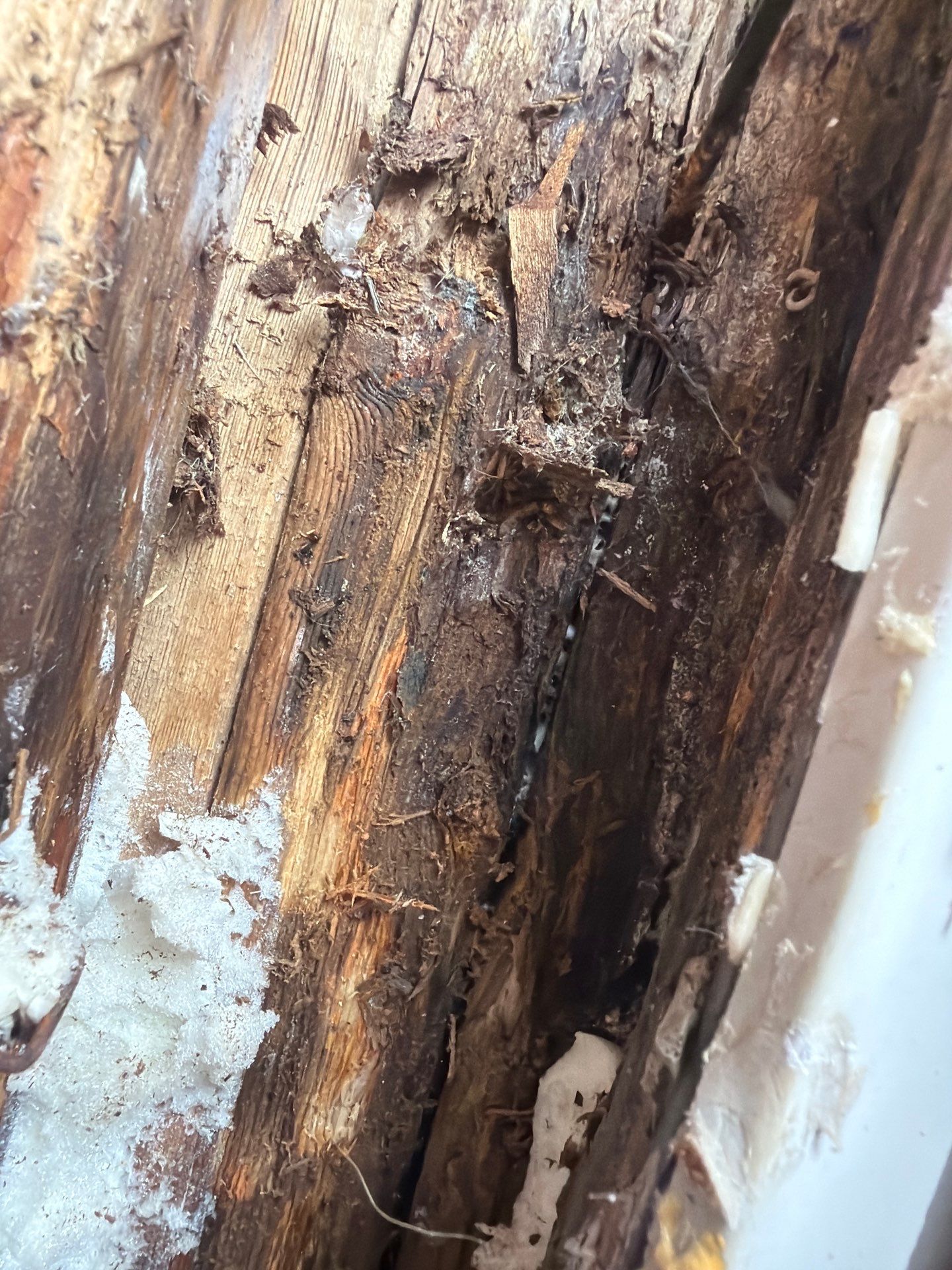 Siding Replacement using Wood Grain by 180 Contractors