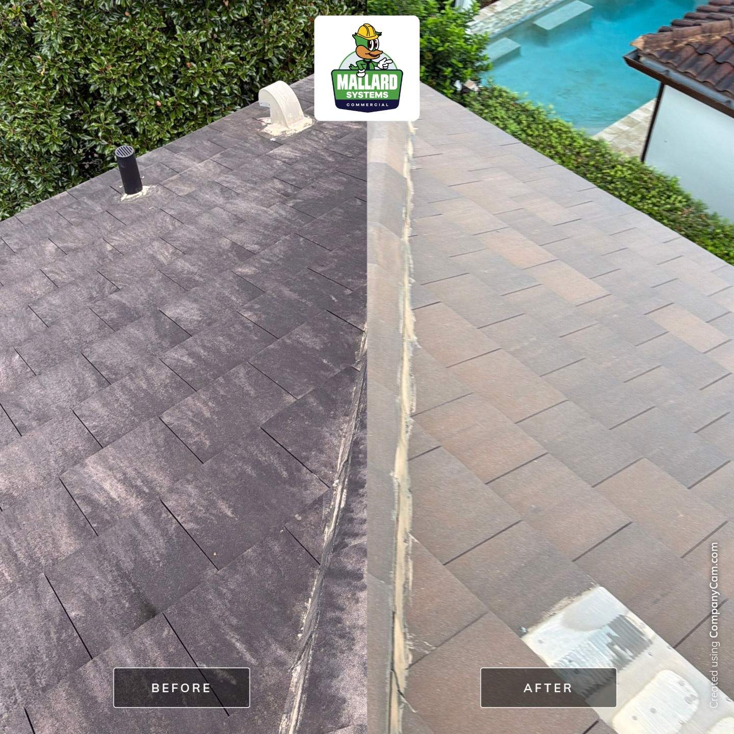 Tile Roof Cleaning in Winter Park by Mallard Systems