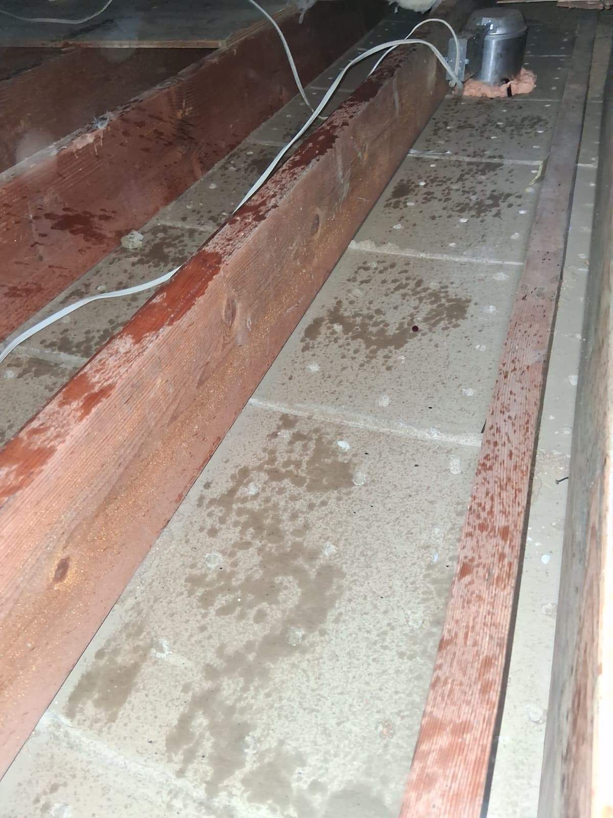 Project in Newport Beach by Advanced Attic Solutions