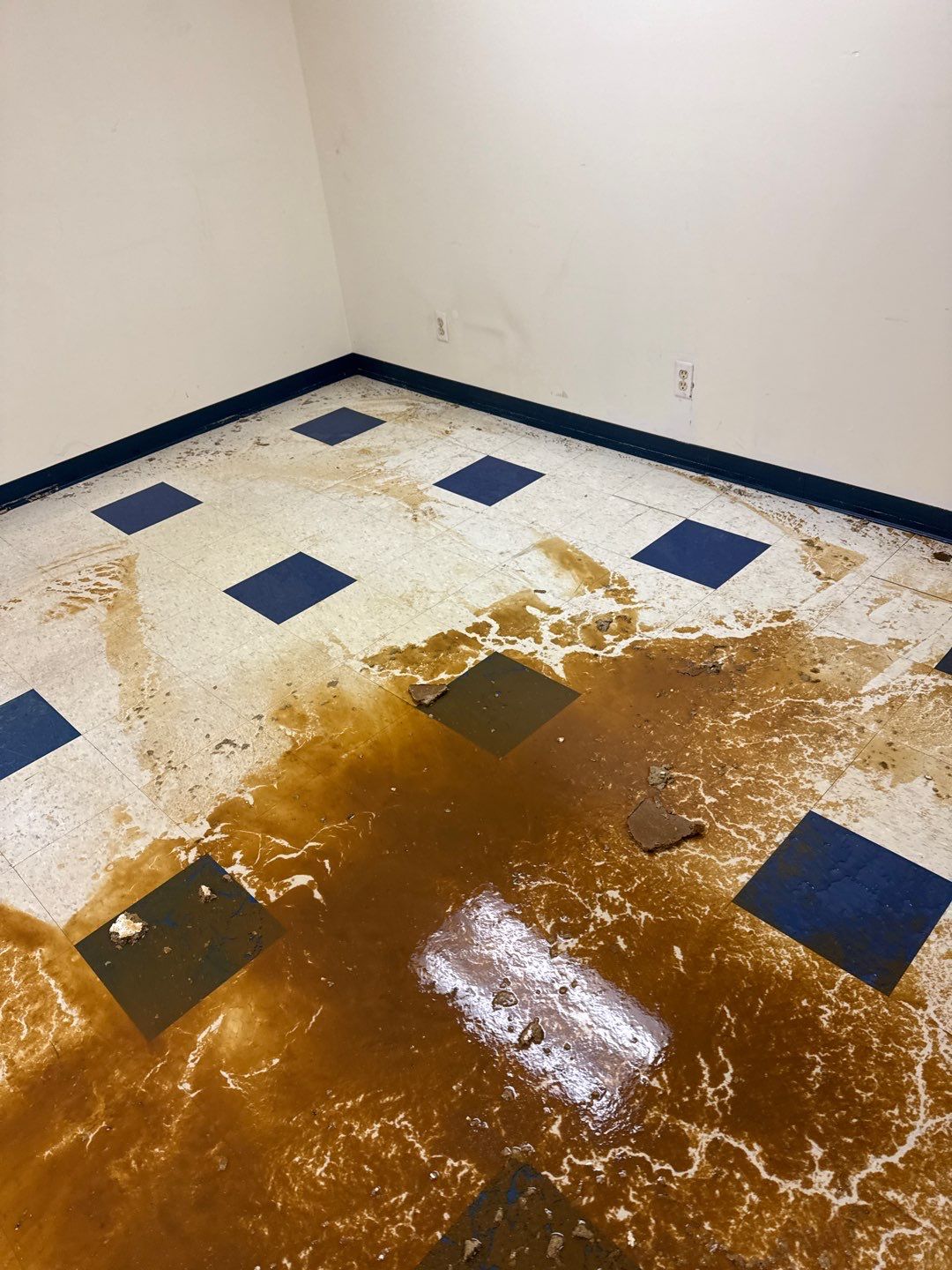 Project in Warren by EzDry Water Mitigation & Property Restoration