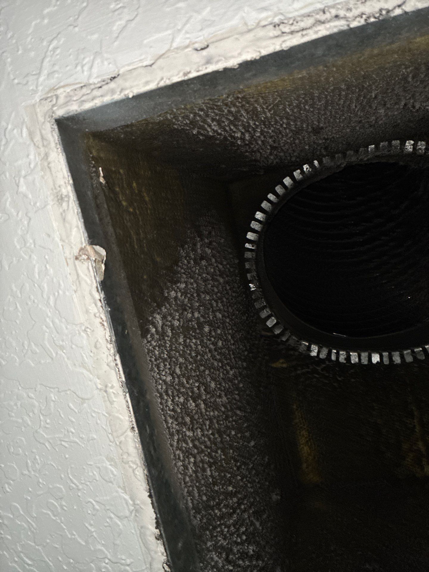 AIr Duct Cleaning in Clermont by Hygienic Air, Inc