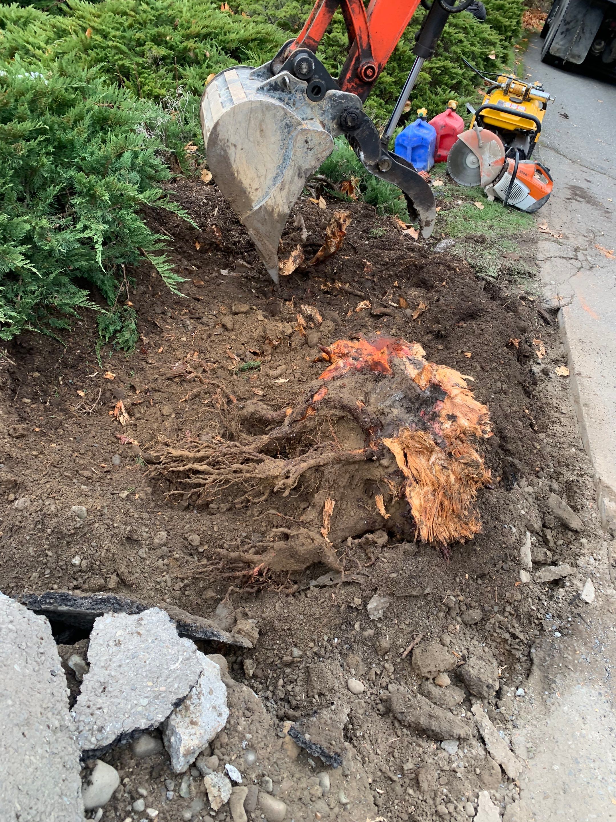 Raphil Haswega Concrete Driveway  by Jireh Asphalt & Concrete Inc 