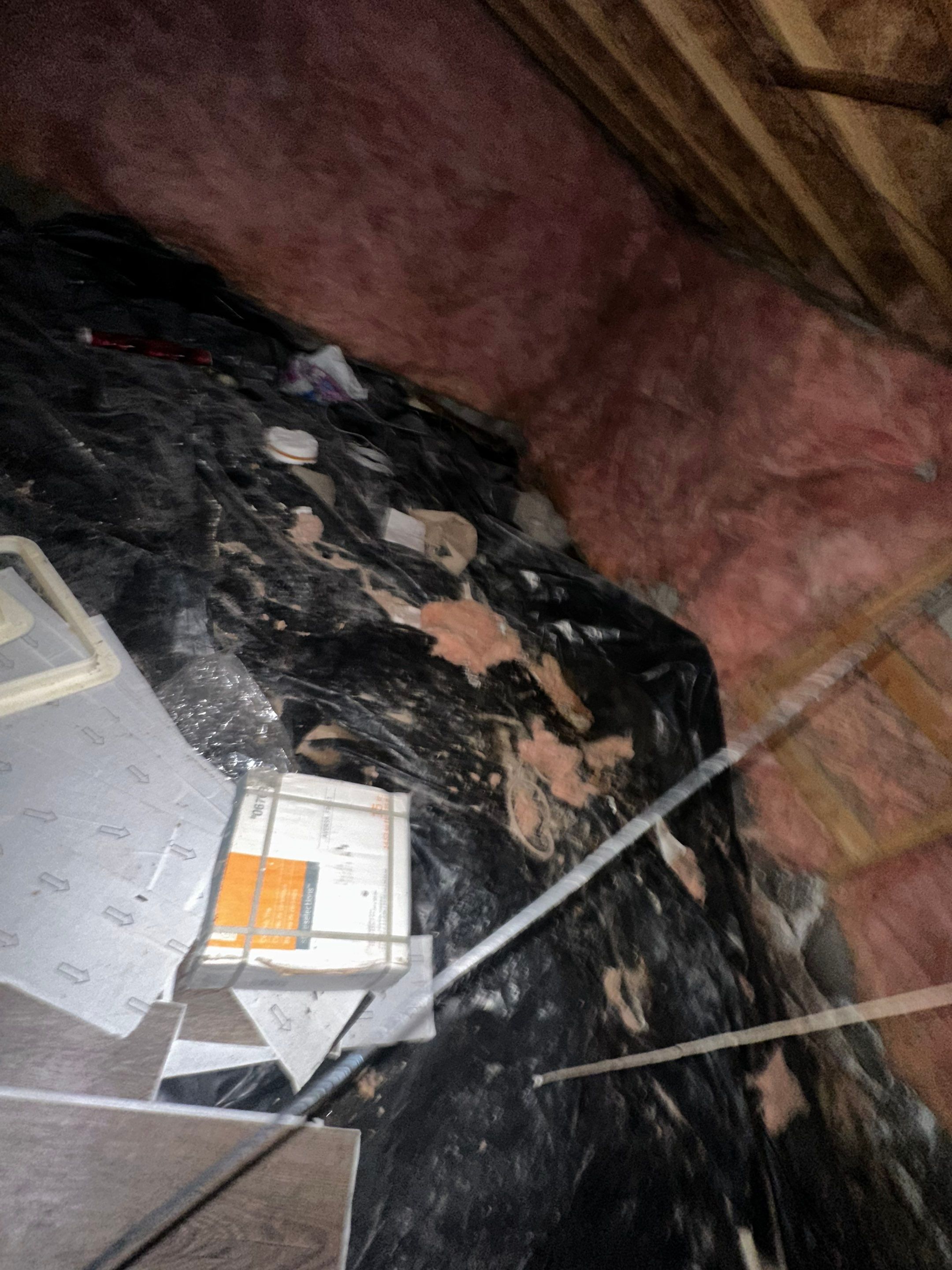 Mold Removal in Brighton, CO by Alpha Restoration 