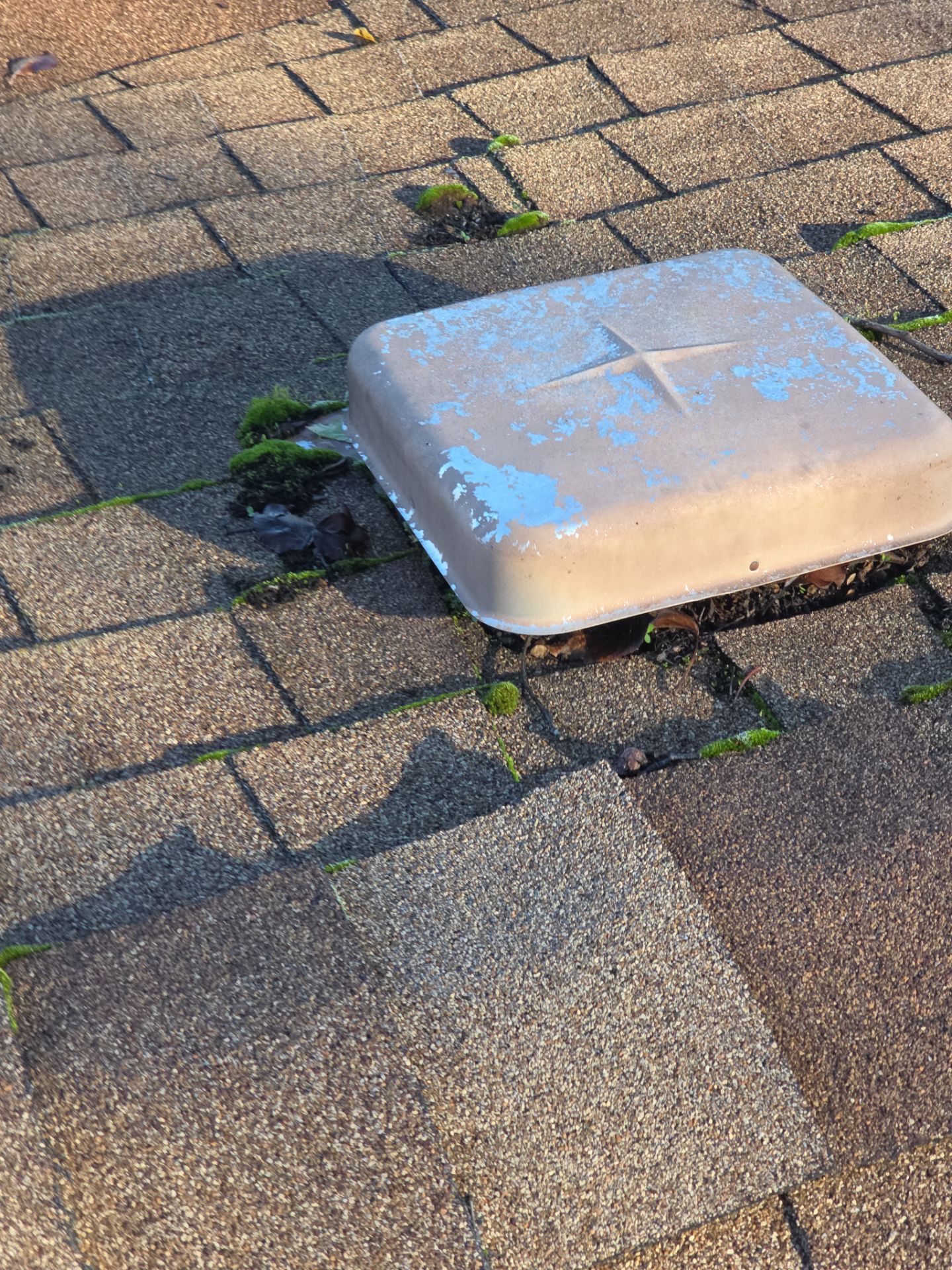 Roof Rejuvenation using Roof Maxx Treatment by Roof Maxx of Folsom